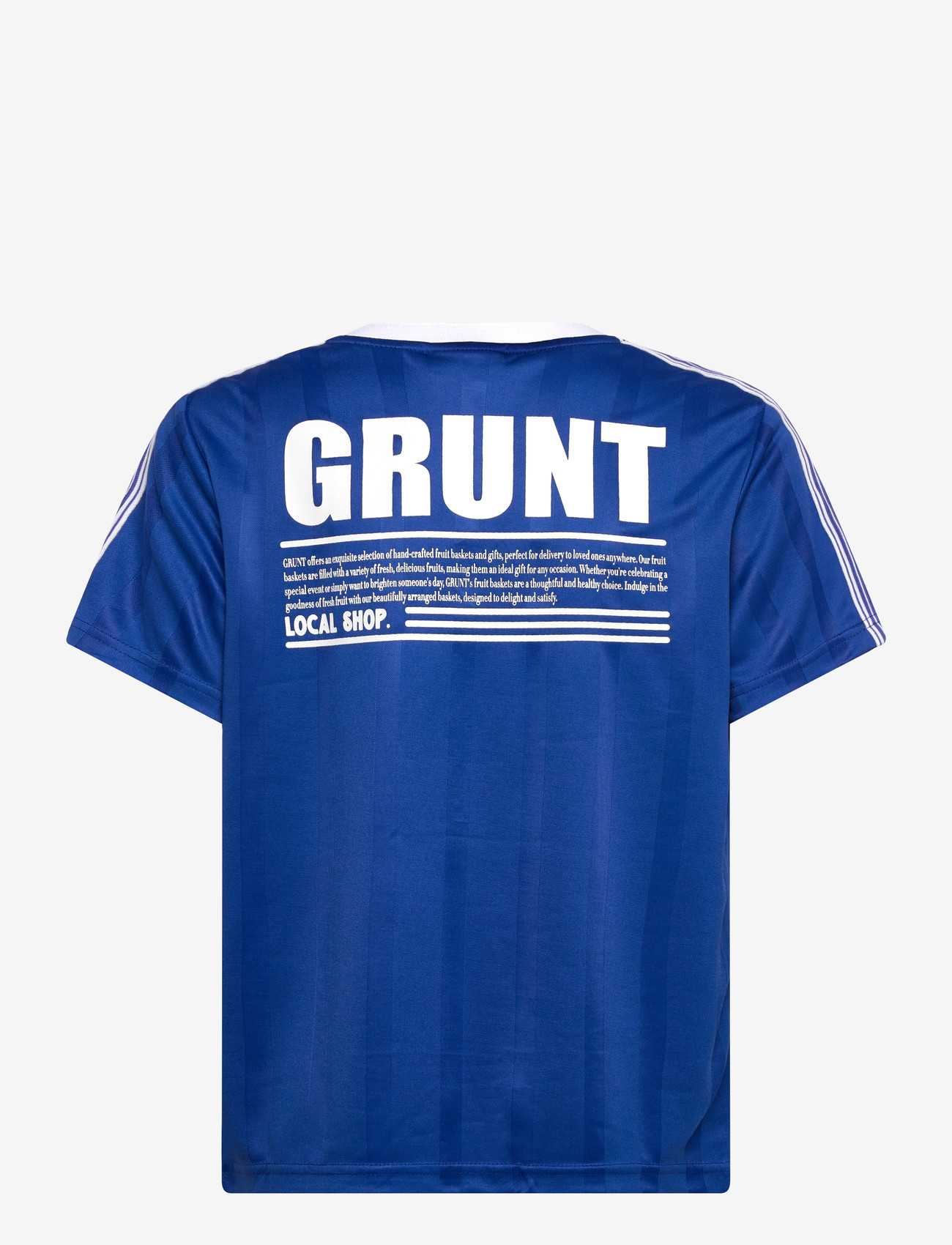 Grunt - GRBenjamin SS Tee - sporttoppar - blue - 1