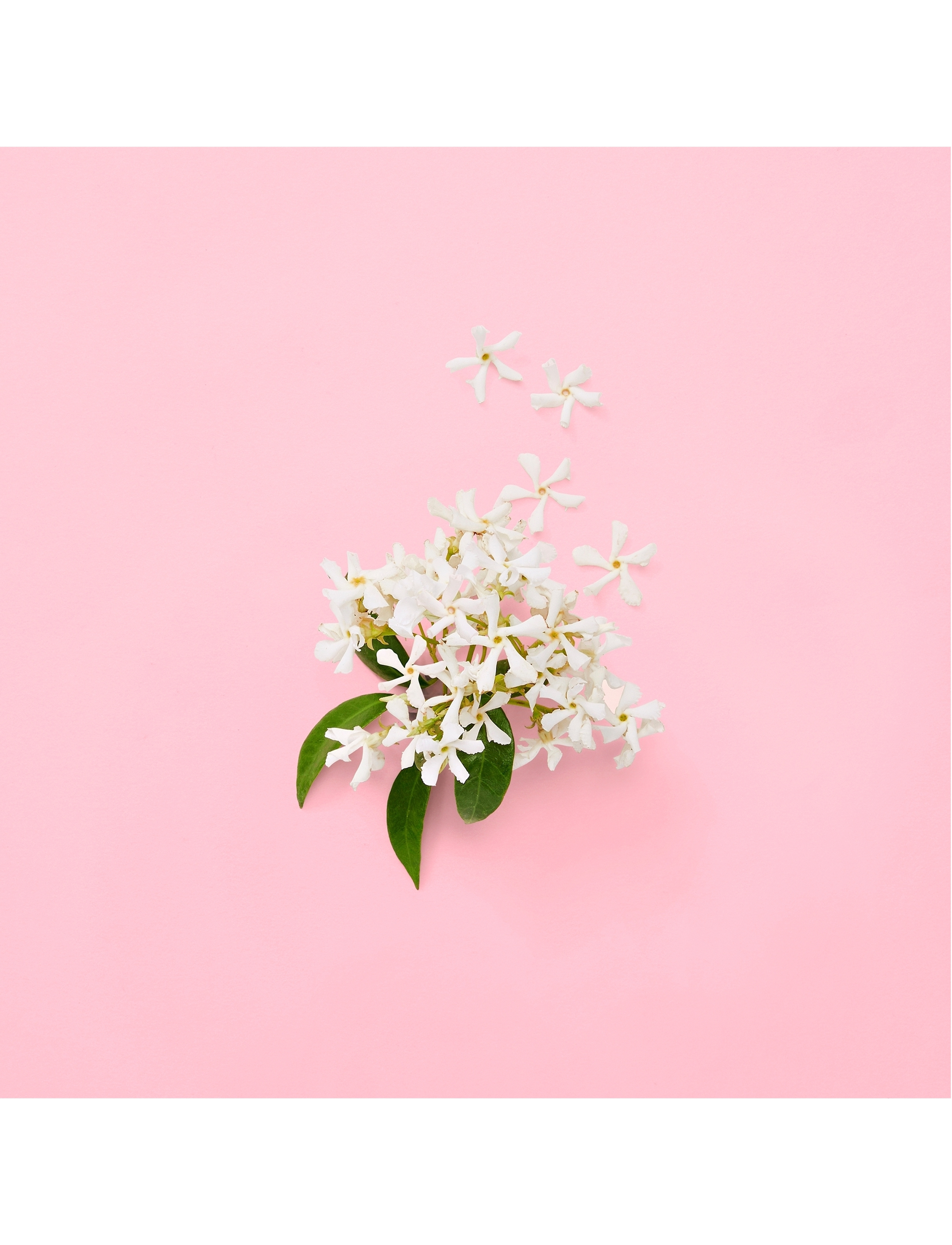 Flora Gorgeous Jasmine Edp Spray 7