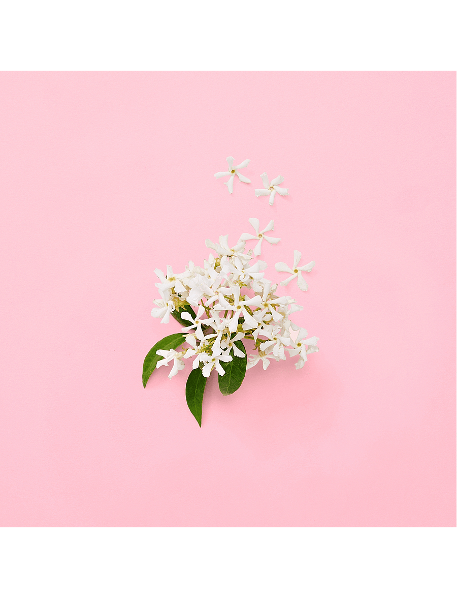 Gucci - FLORA GENTLE JASMINE EAU DE PARFUM - naistele - clear - 4