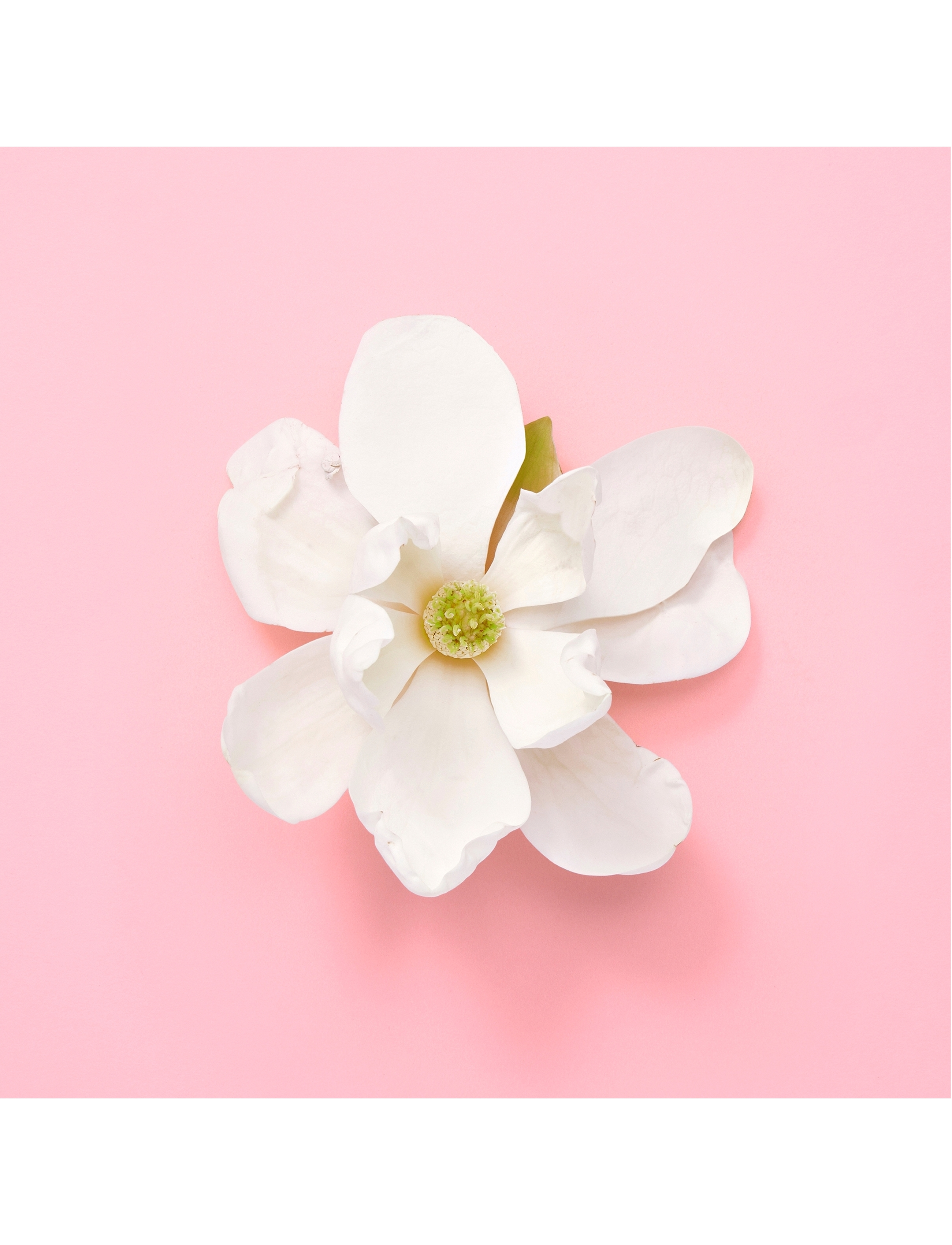 Flora Gorgeous Jasmine Edp Spray 8
