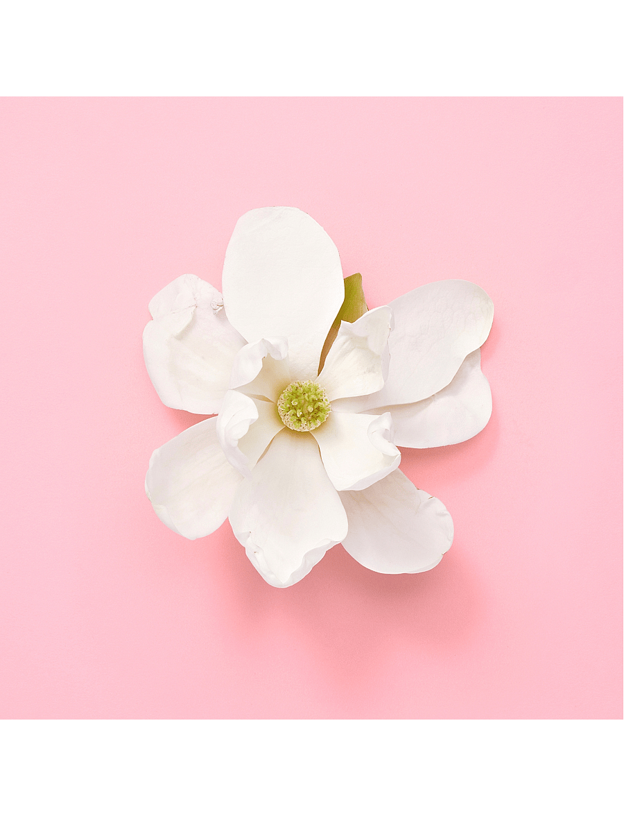 Gucci - FLORA GENTLE JASMINE EAU DE PARFUM - naistele - clear - 5