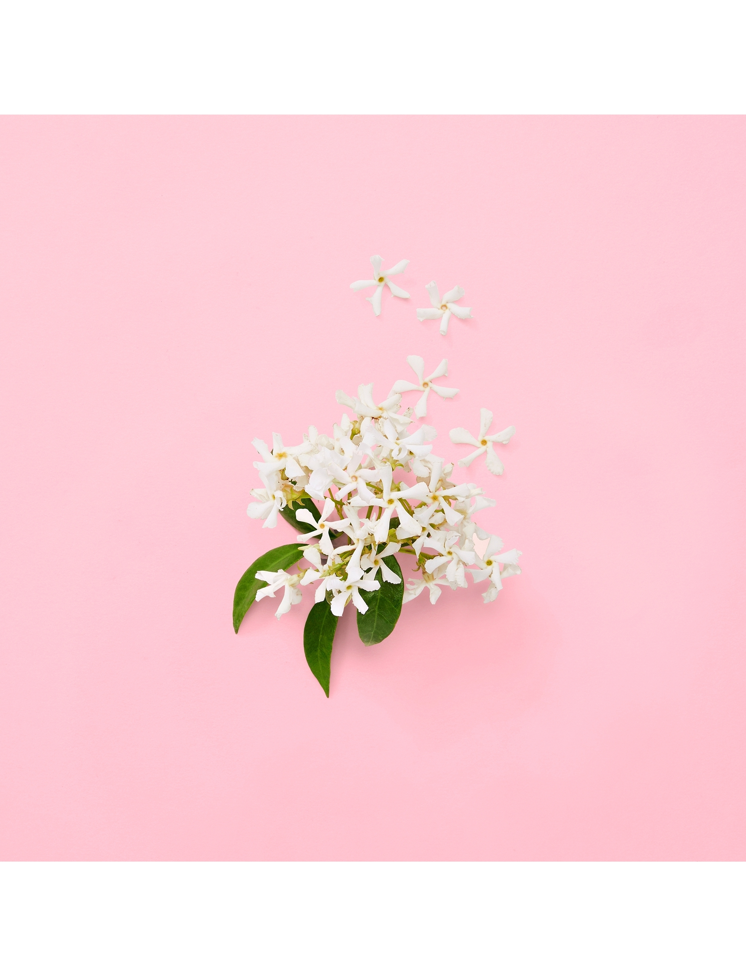 Flora Gorgeous Jasmin Eau de parfum refill 6