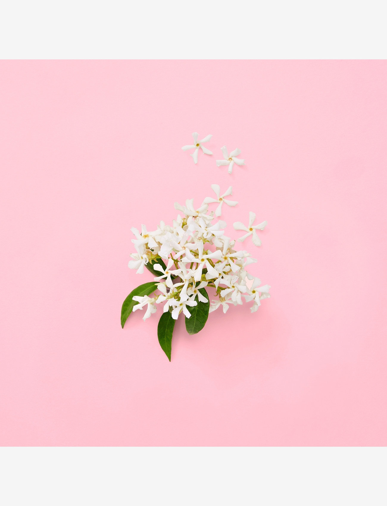Gucci - FLORA GENTLE JASMINE EAU DE PARFUM - til hende  - clear - 4