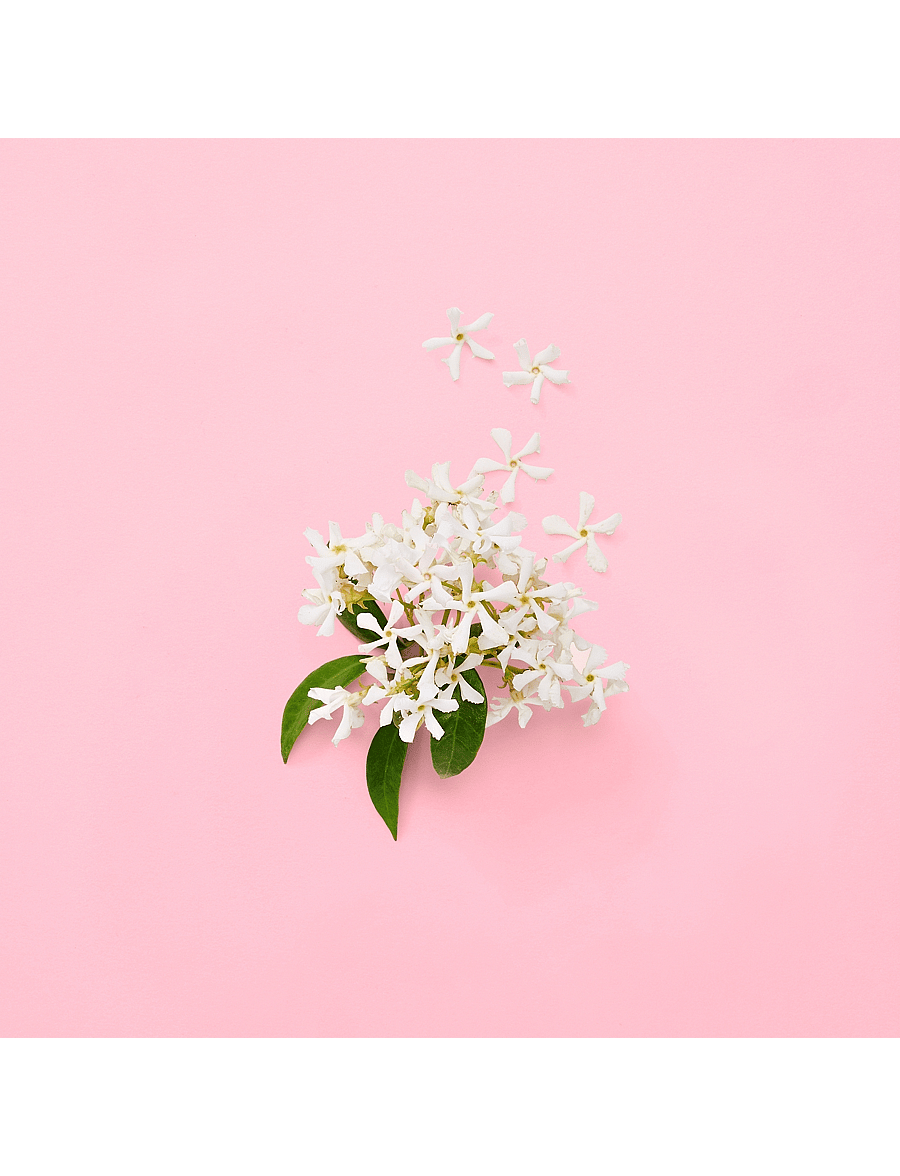 Gucci - FLORA GENTLE JASMINE EAU DE PARFUM - naistele - clear - 4