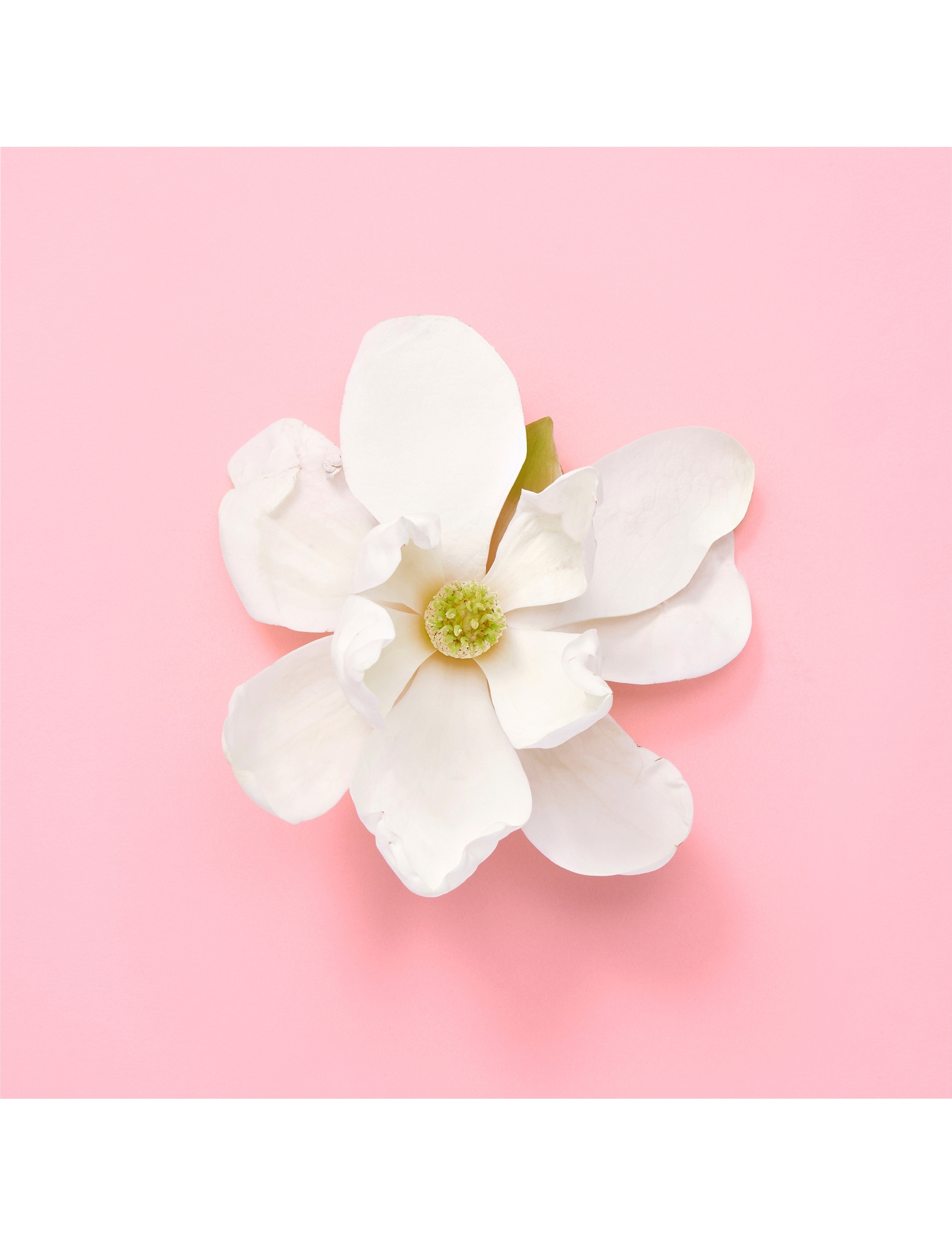 Flora Gorgeous Jasmin Eau de parfum refill 7