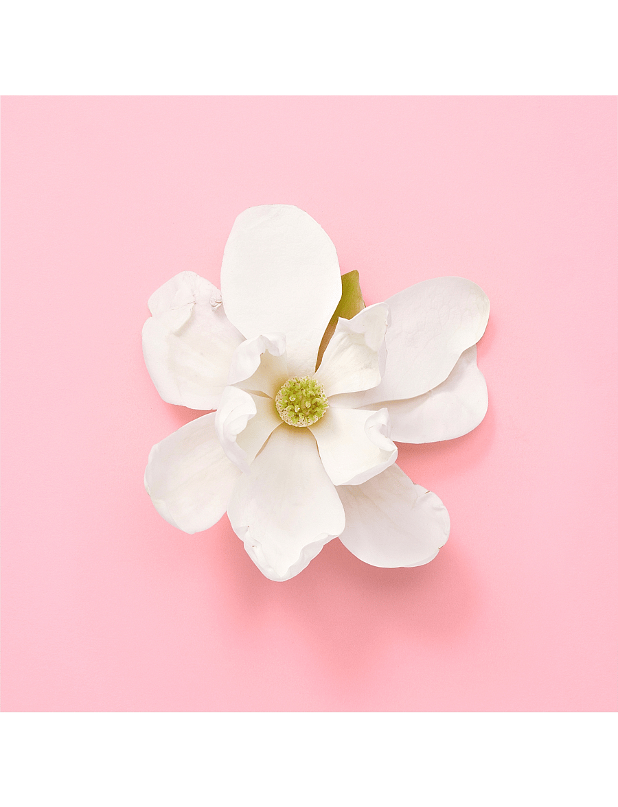 Gucci - FLORA GENTLE JASMINE EAU DE PARFUM - naistele - clear - 5