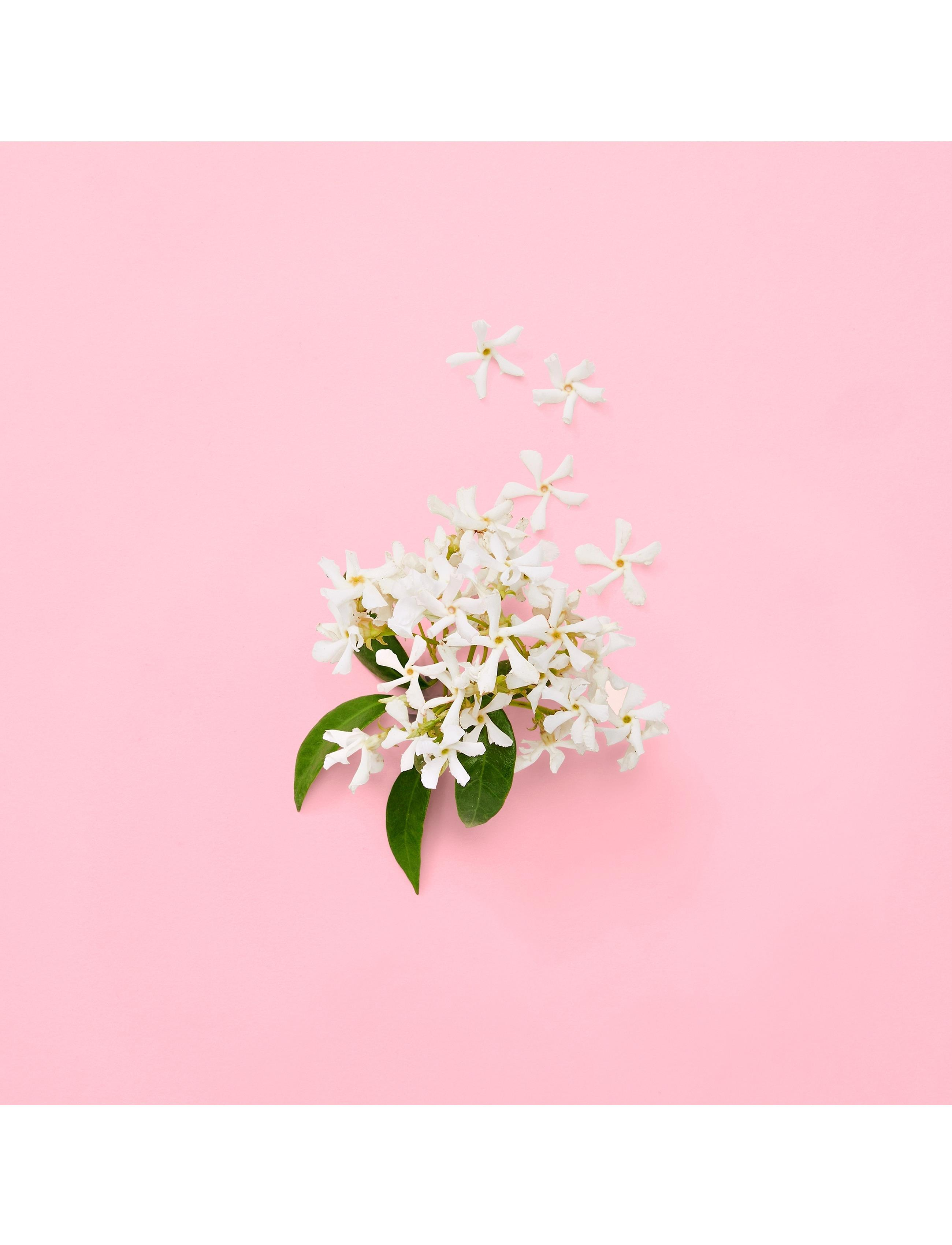 Flora Gorgeous Jasmine Edp Spray 7
