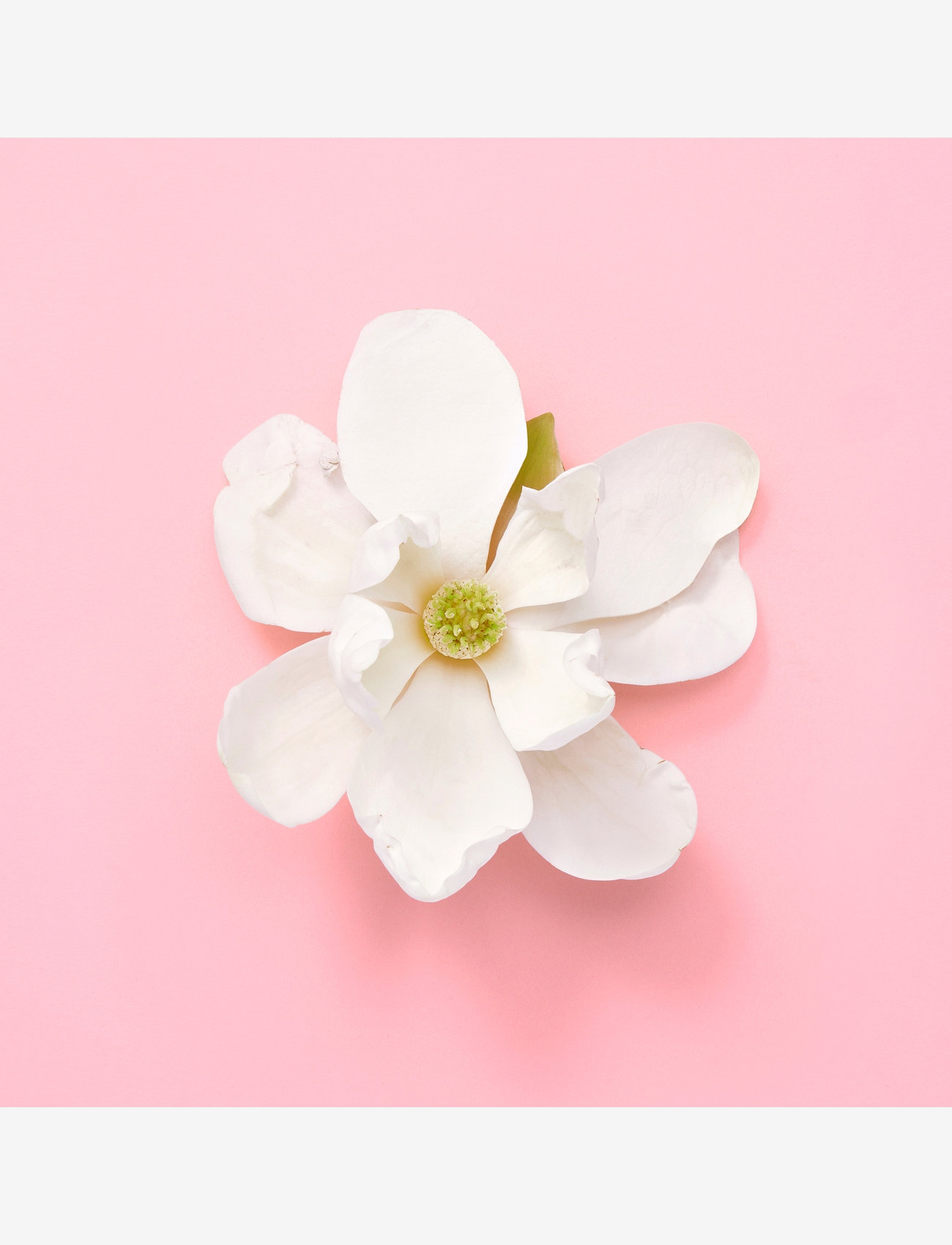 Gucci - FLORA GENTLE JASMINE EAU DE PARFUM - til hende  - clear - 5