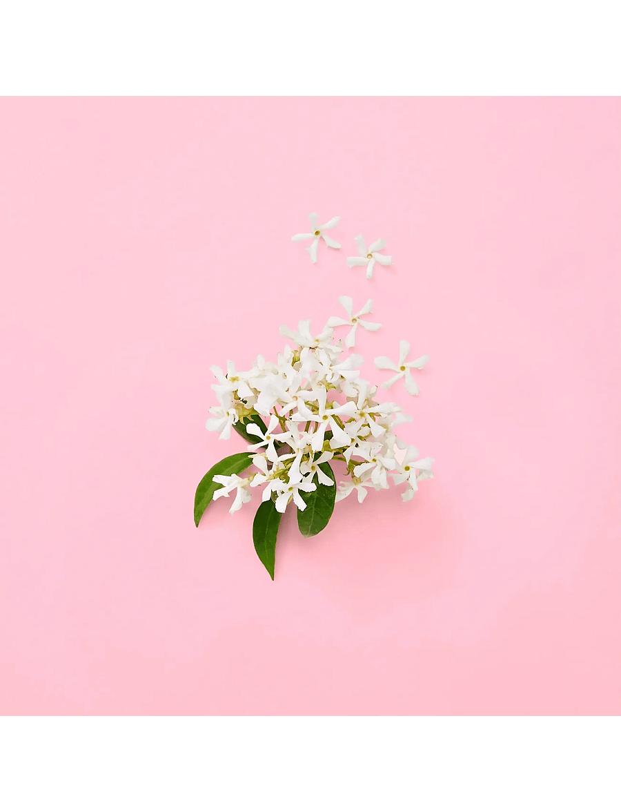 Gucci - FLORA GENTLE JASMINE EAU DE PARFUM - naistele - clear - 5