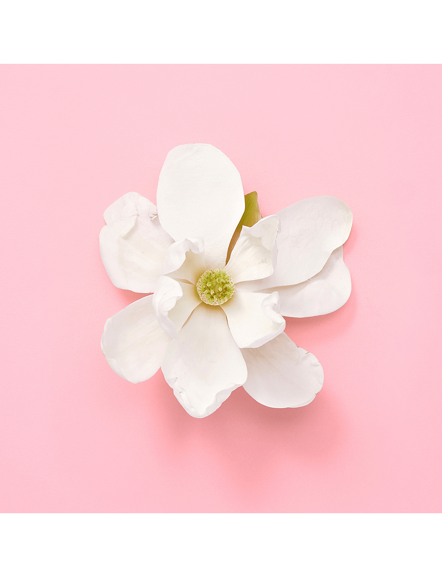 Gucci - FLORA GENTLE JASMINE EAU DE PARFUM - naistele - clear - 5