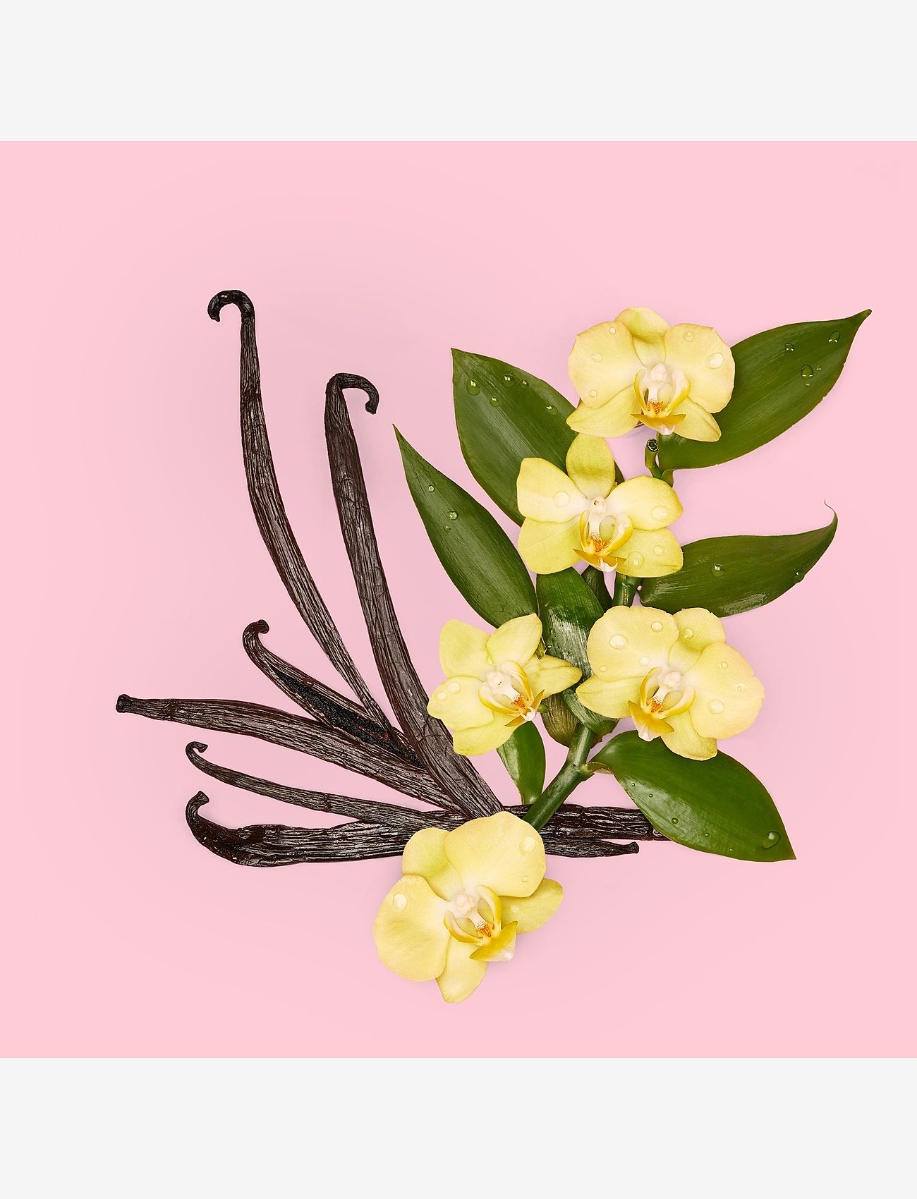 Gucci - GUCCI Flora Gorgeous Orchid Eau de parfum 100 ML - til hende  - clear - 5