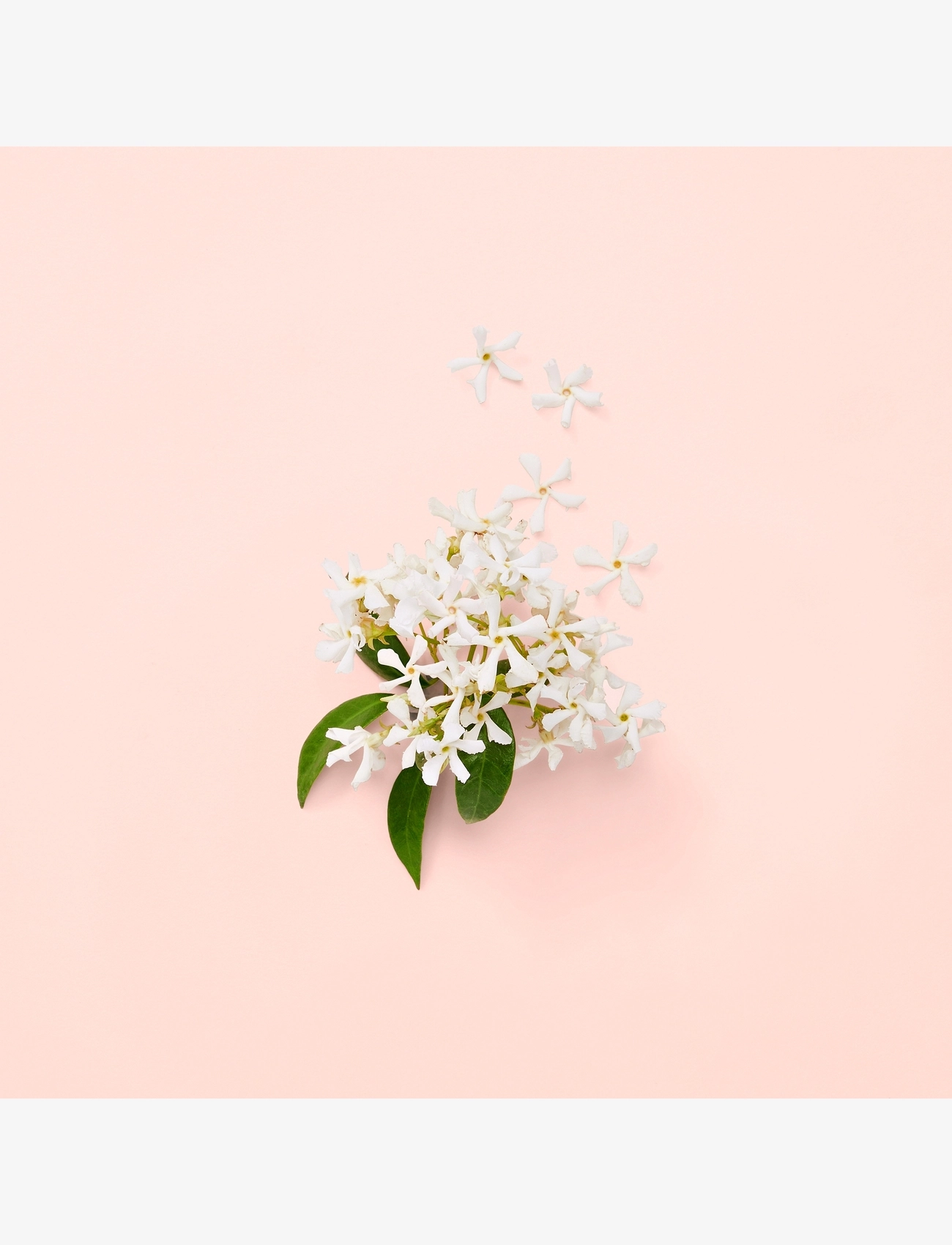 Bloom Eau De Parfum 6