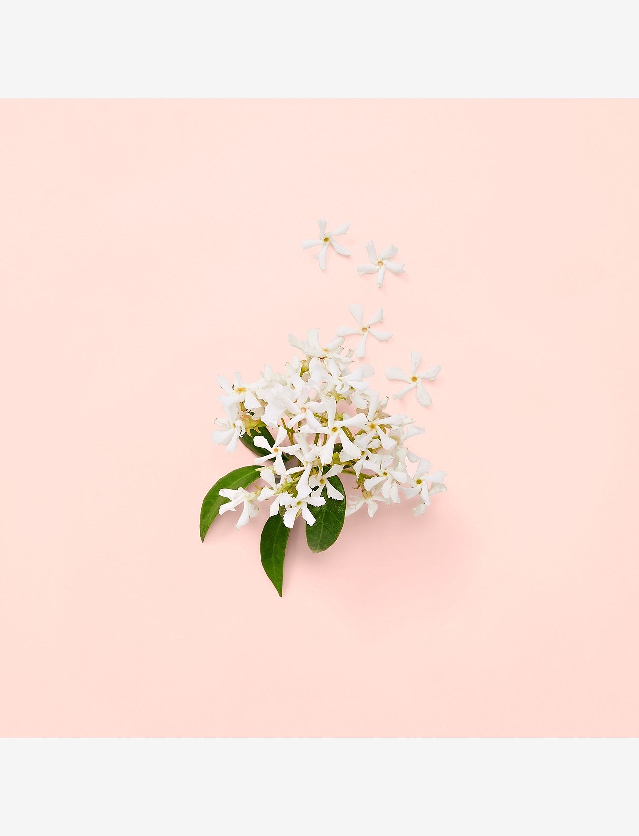 Gucci - BLOOM EAU DE PARFUM - til hende  - clear - 3