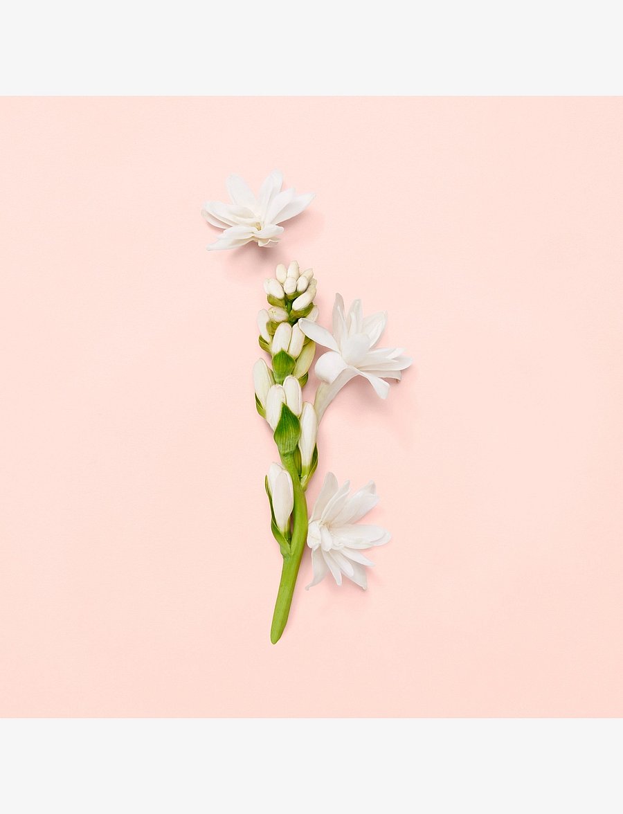 Gucci - BLOOM EAU DE PARFUM - naistele - clear - 4