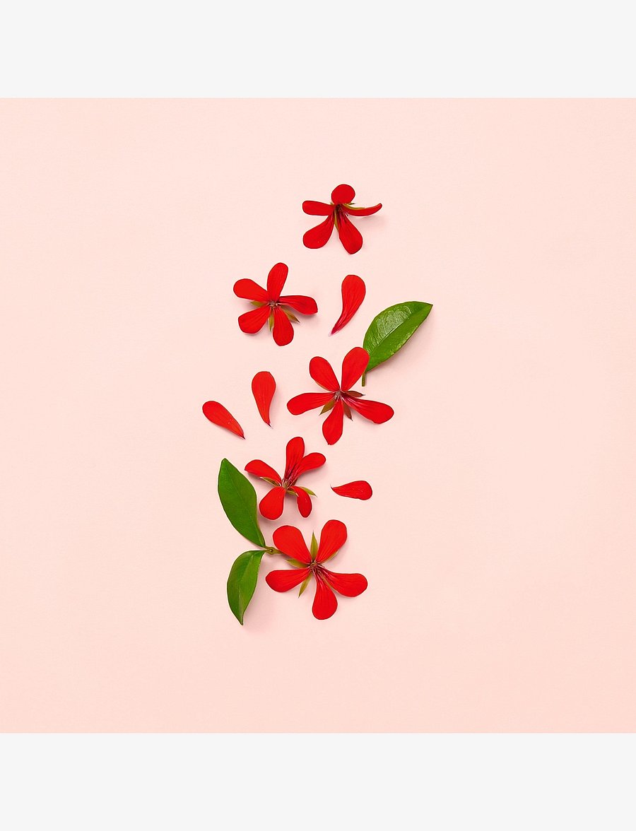 Gucci - BLOOM EAU DE PARFUM - naistele - clear - 5
