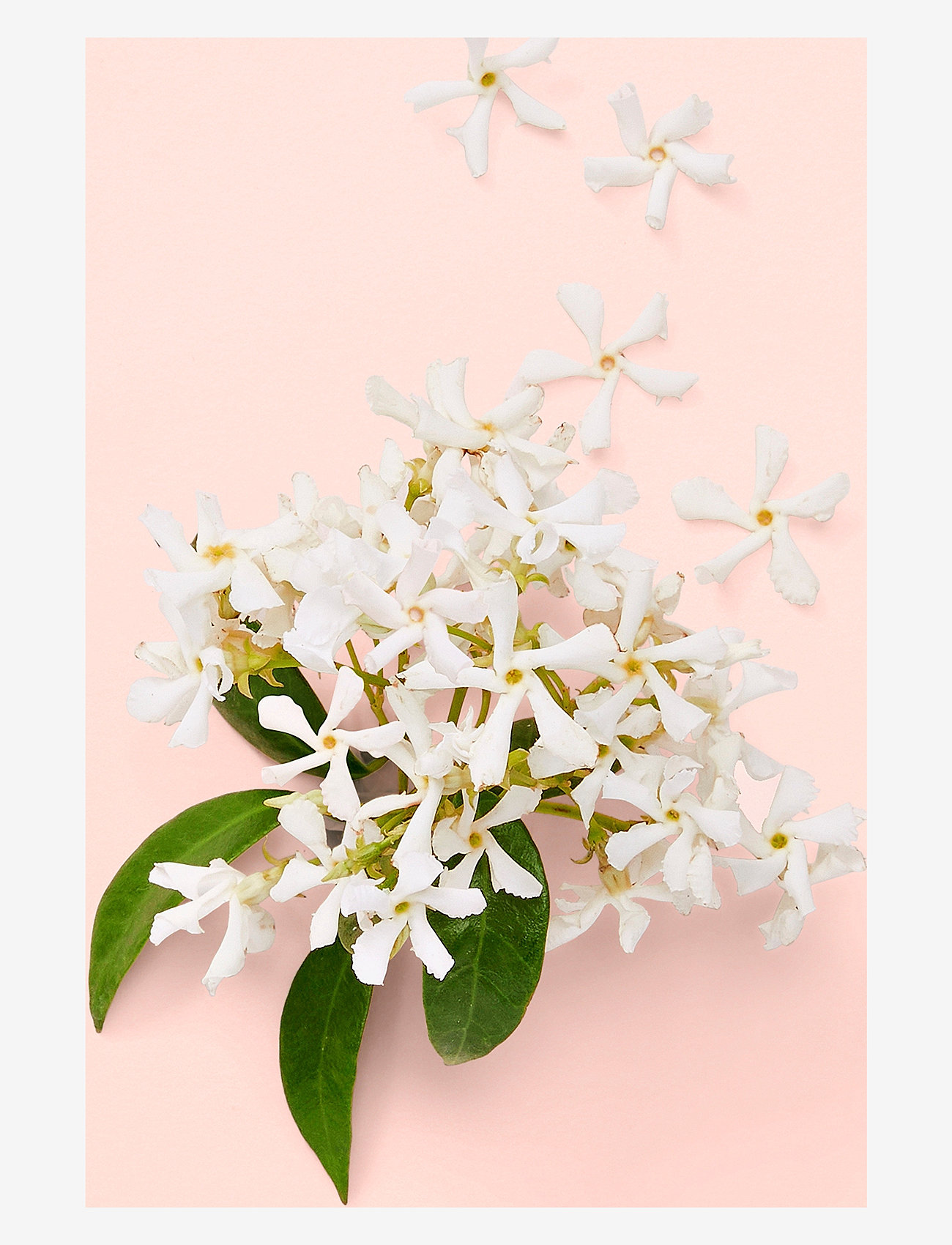 Gucci - BLOOM EAU DE PARFUM - naisille  - clear - 4