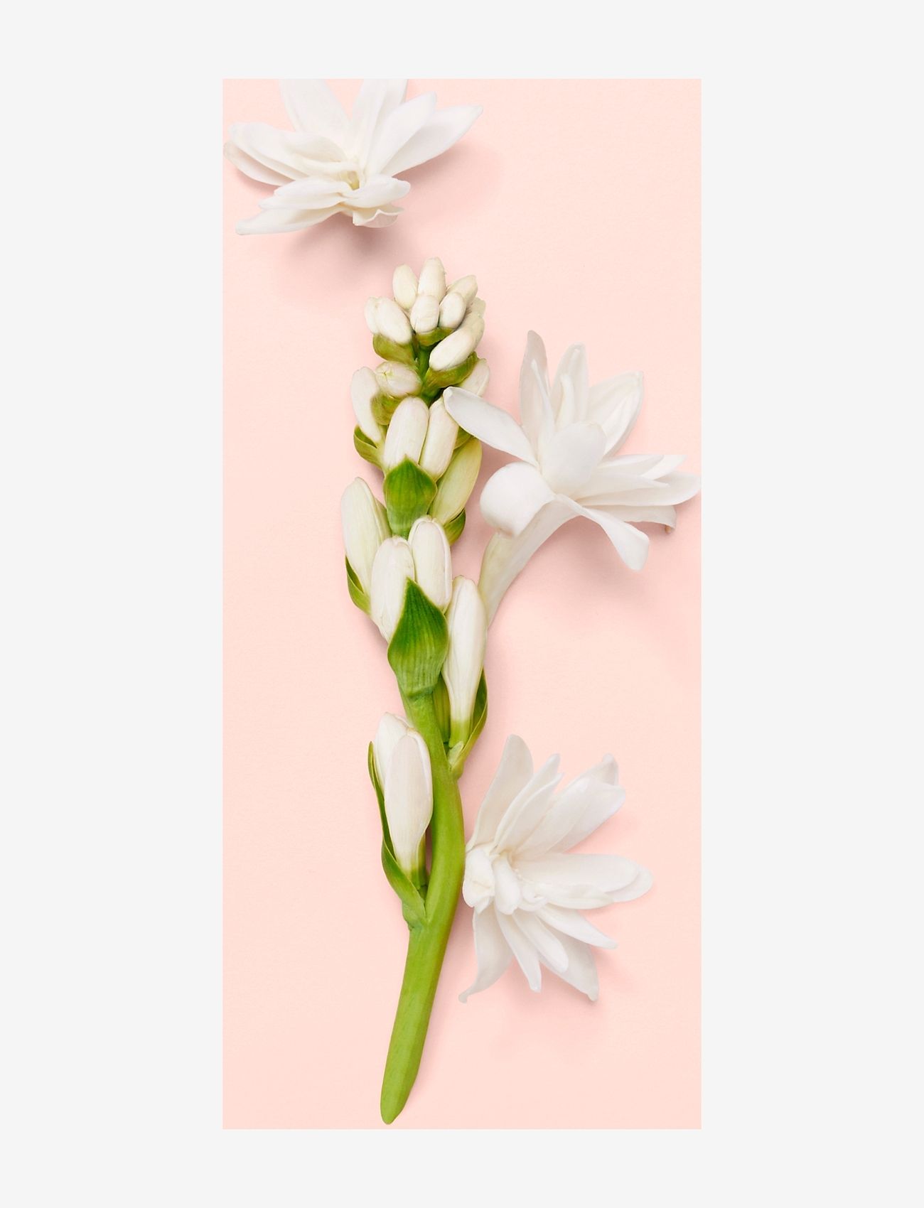 Gucci - BLOOM EAU DE PARFUM - naisille  - clear - 5