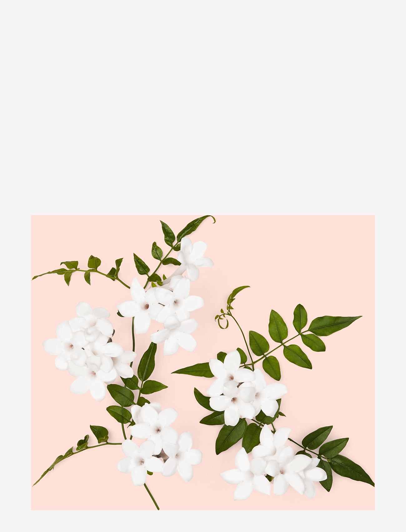 Gucci - GUCCI Bloom Intense Eau de parfum 30 ML - for her - clear - 4