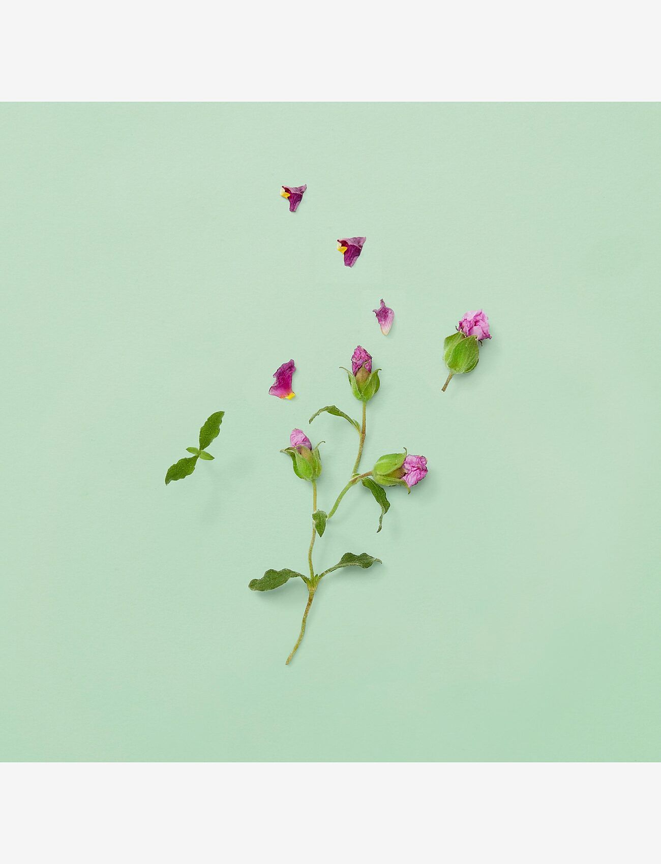 Gucci - Guilty Pour Homme Eau de parfum 90 ML - till honom  - clear - 5