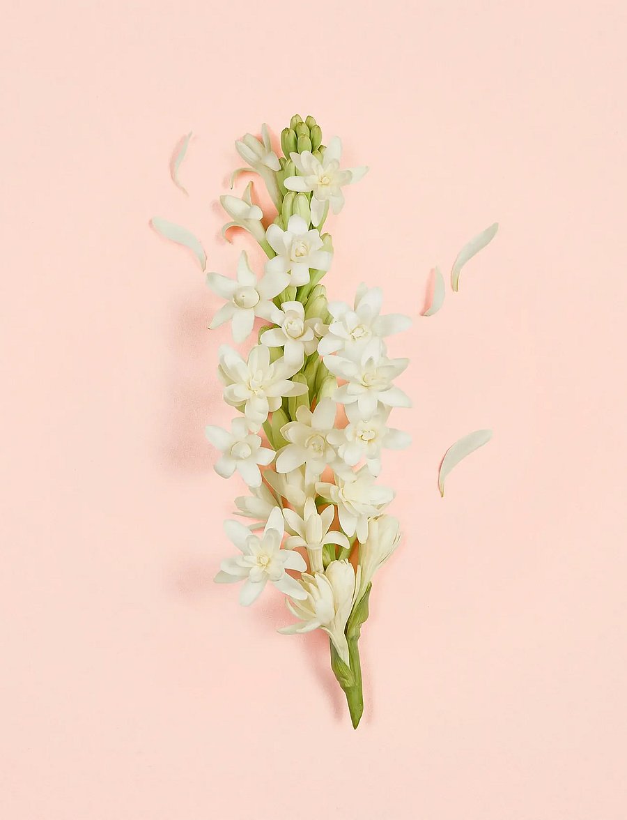 Gucci - Bloom Ambrosia d'Oro Parfum - fragrance - clear - 2