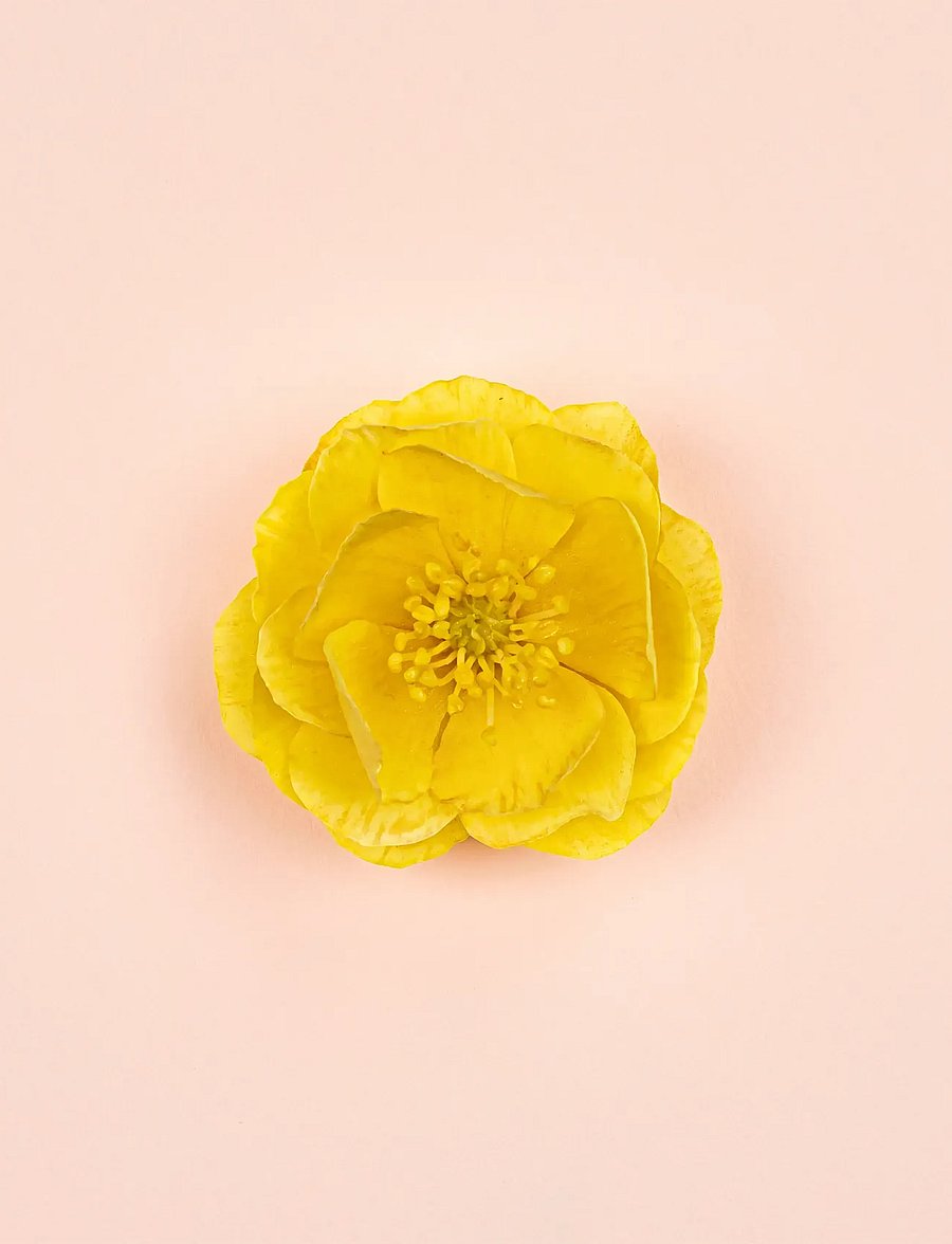 Gucci - Bloom Ambrosia d'Oro Parfum - fragrance - clear - 4