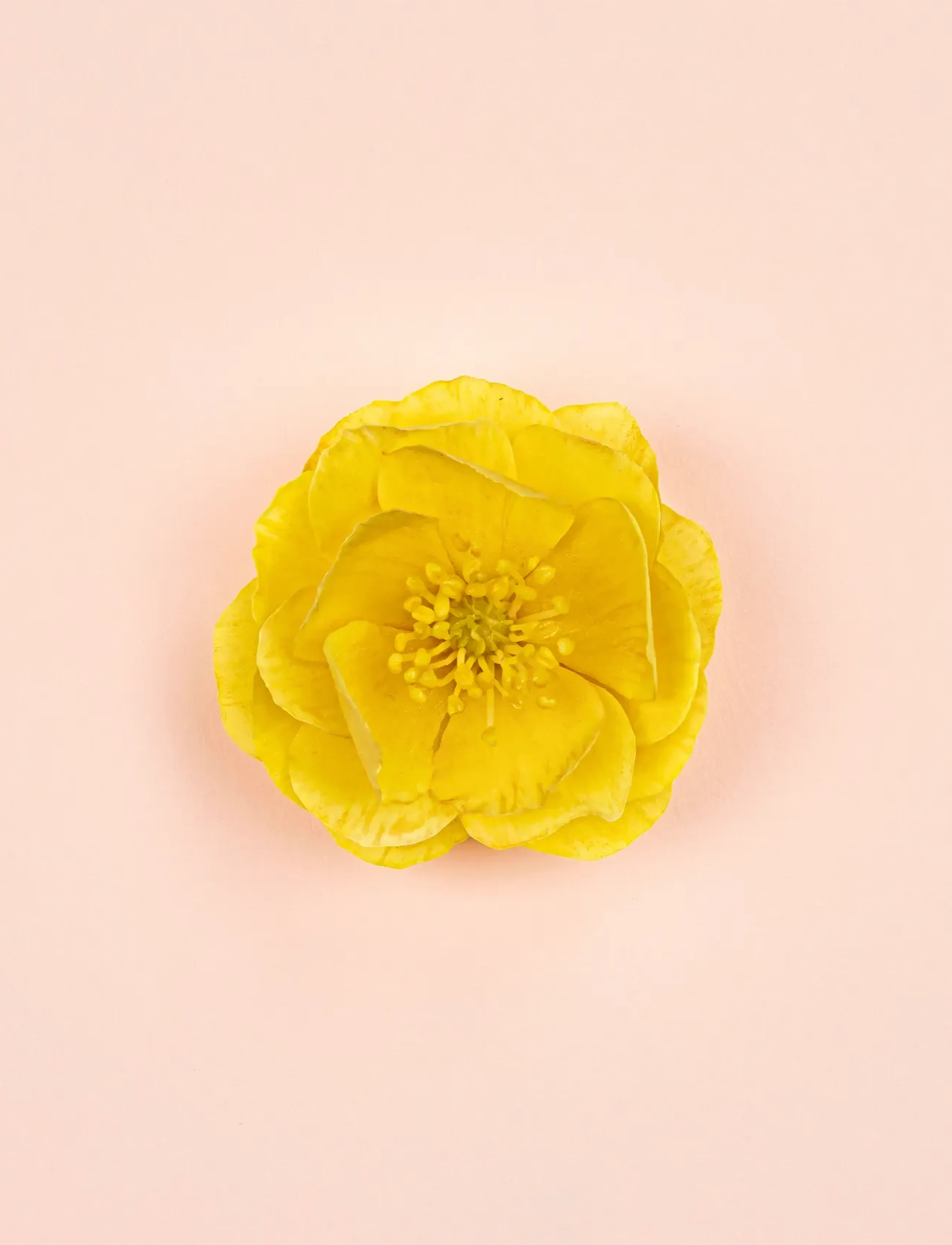 Gucci - Bloom Ambrosia d'Oro Parfum - fødselsdagsgaver - clear - 4