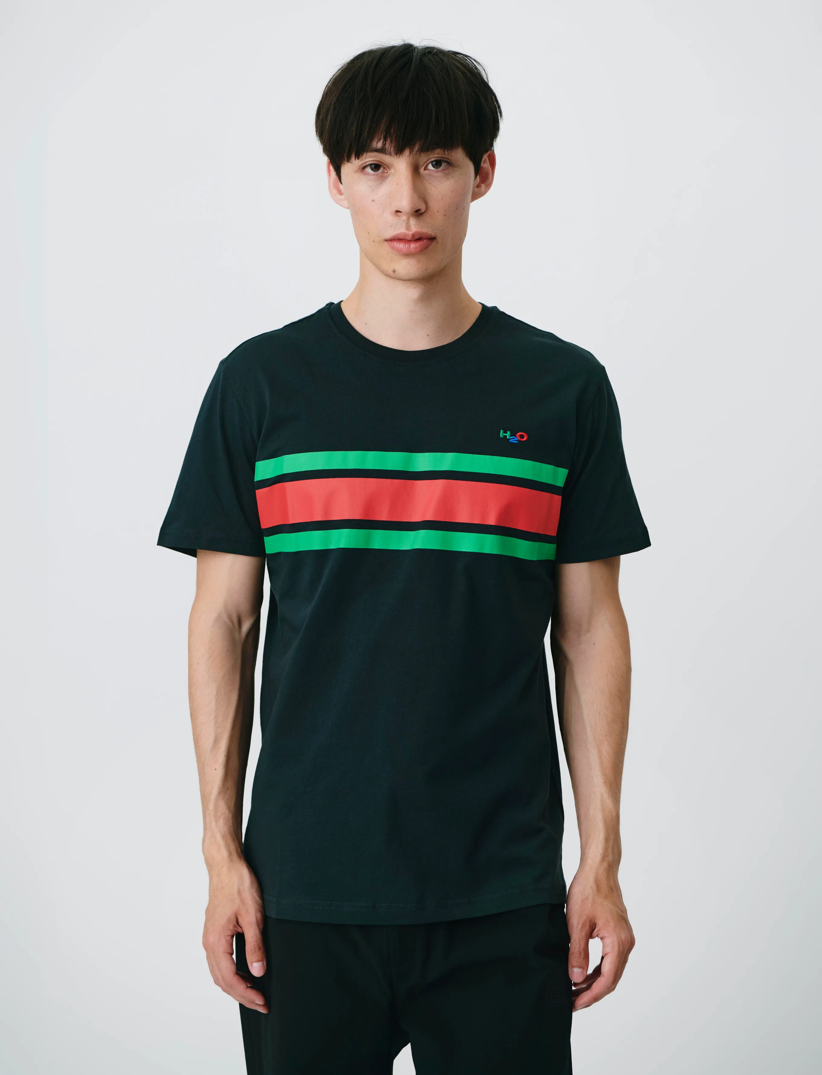 H2O Gilleleje Tee - T-shirts med print - NAVY/GREEN/RED / blue