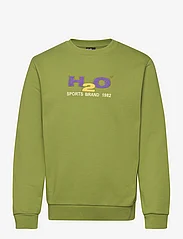 H2O - Logo Sweat O'neck - sweats et sweats à capuche - grasshopper/lilac/lemon - 0