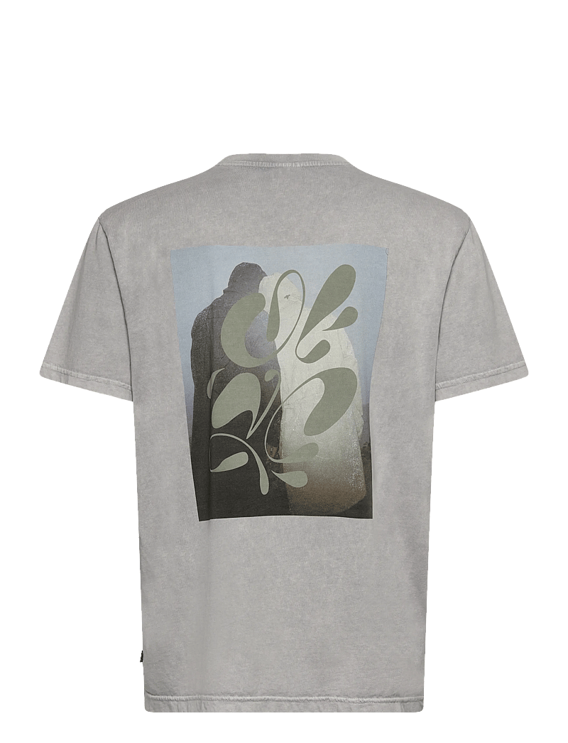 H2O - Kap Dan Tee Print - kurzärmelig - ultimate grey/green - 1