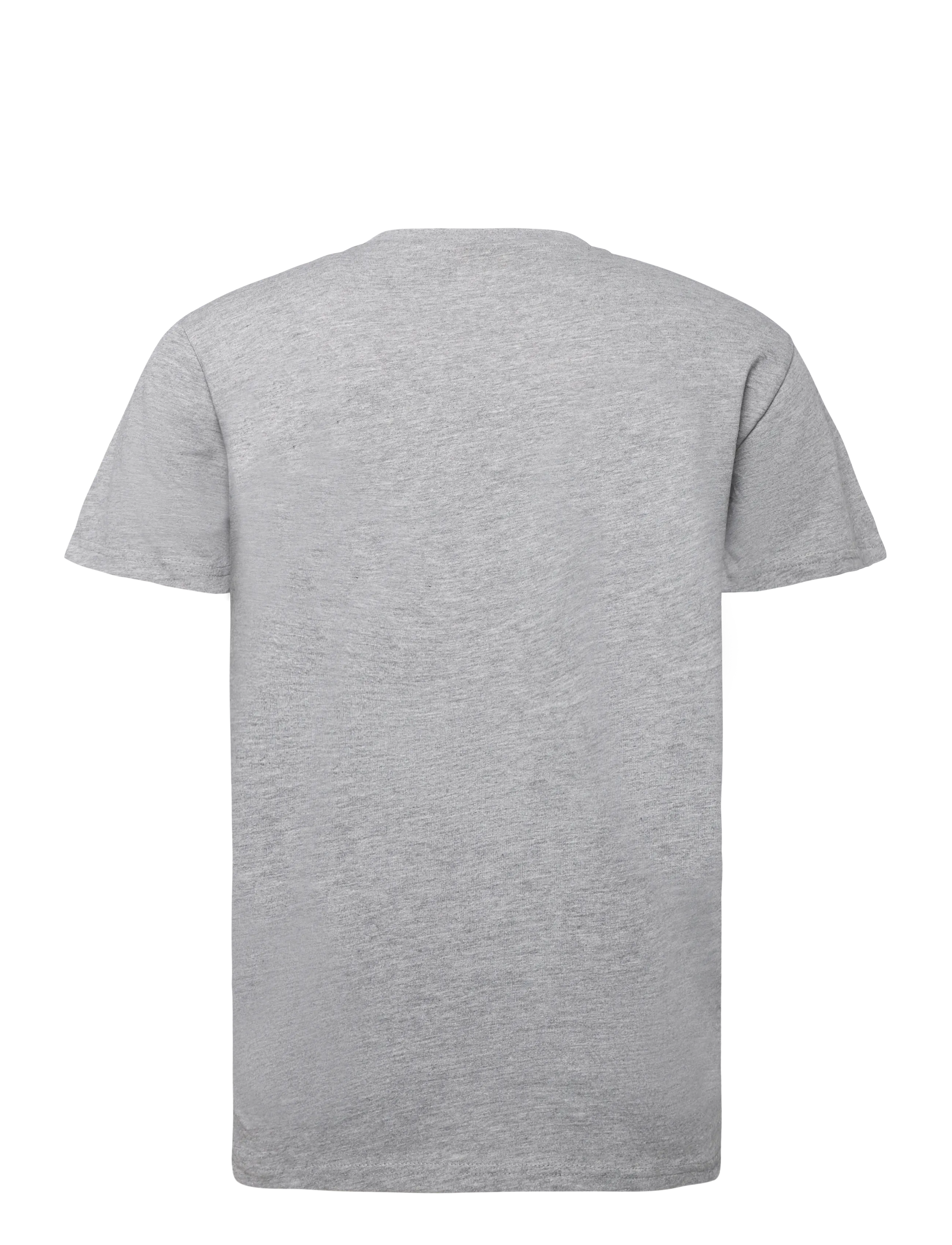 H2O - Skagen Mens Solid Tee - alussärgid ja t-särgid - lt. grey mel - 2