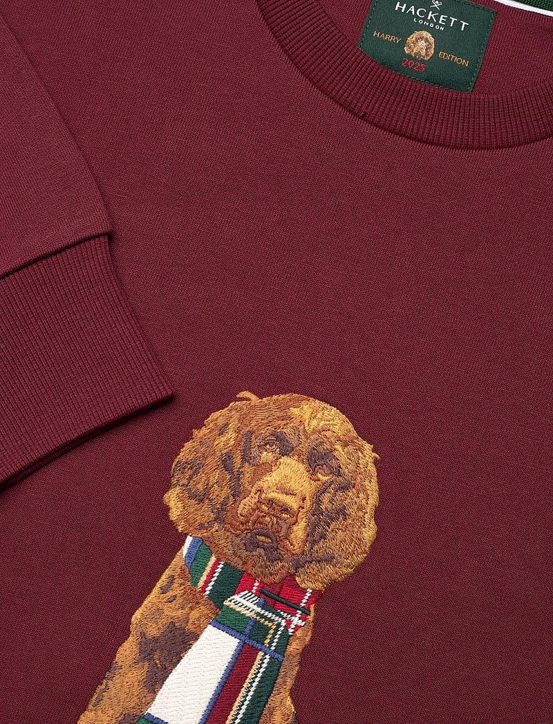 Hackett London - HERITAGE HARRY CREW - collegepaidat - burgundy red - 2