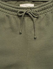 HALO - HALO Cotton Sweat Pants - sweatpants - olivine - 3