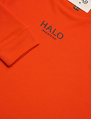HALO - HALO MILITARY LONG SLEEVE - langarmshirts - grenadine - 2