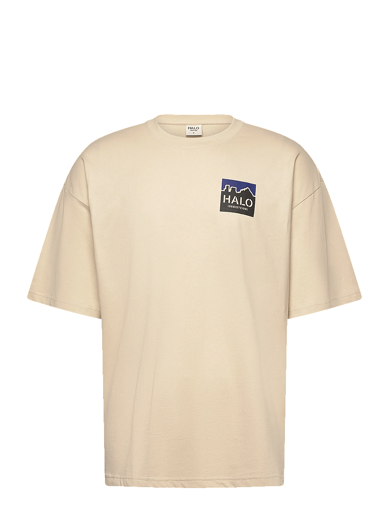 HALO - HALO GRAPHIC BOXY T-SHIRT - kortærmede t-shirts - oyster gray/oyster gray - 0