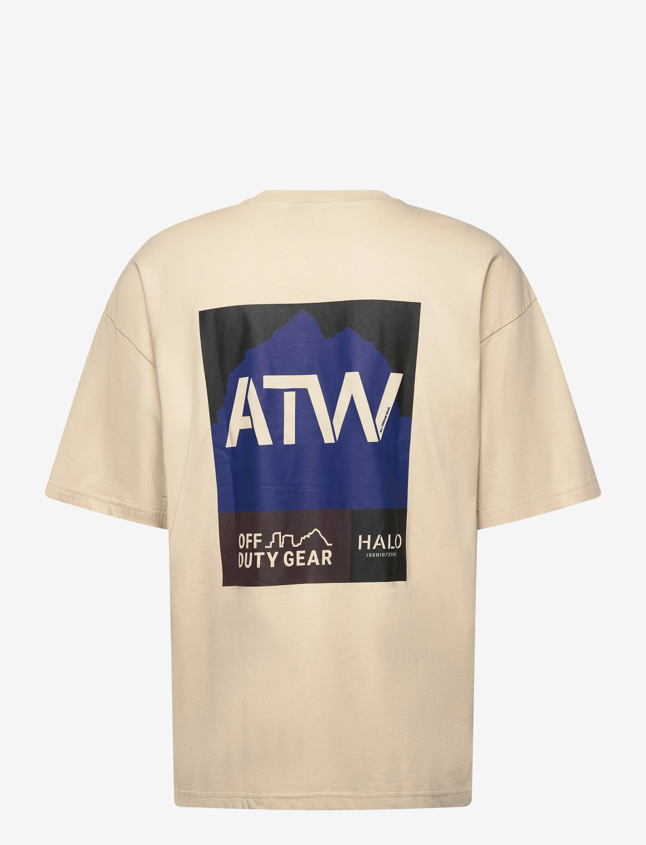 HALO - HALO GRAPHIC BOXY T-SHIRT - kurzärmelig - oyster gray/oyster gray - 1