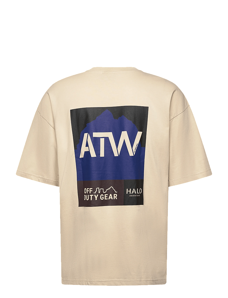 HALO - HALO GRAPHIC BOXY T-SHIRT - kortærmede t-shirts - oyster gray/oyster gray - 1