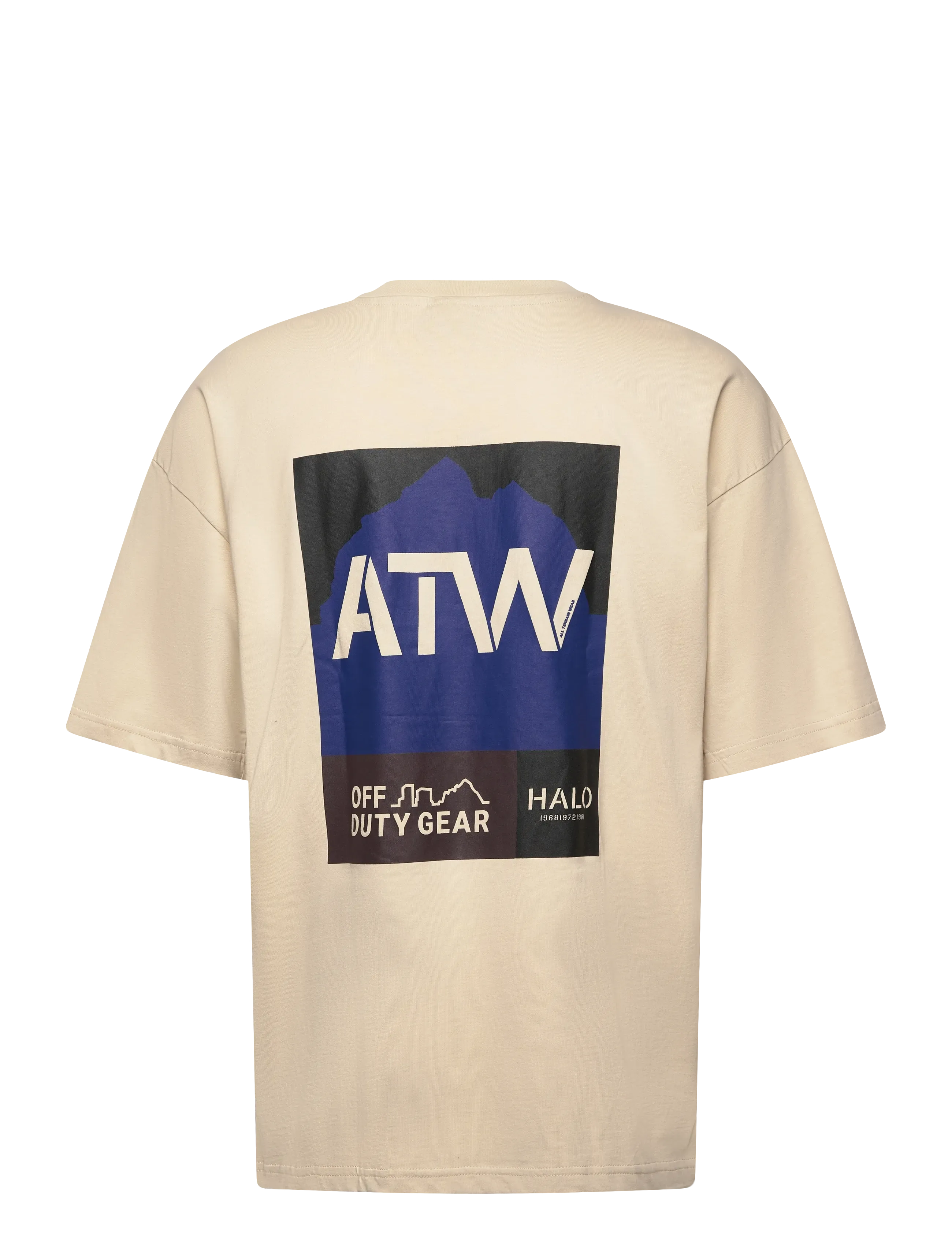 HALO - HALO GRAPHIC BOXY T-SHIRT - oyster gray/oyster gray - 1