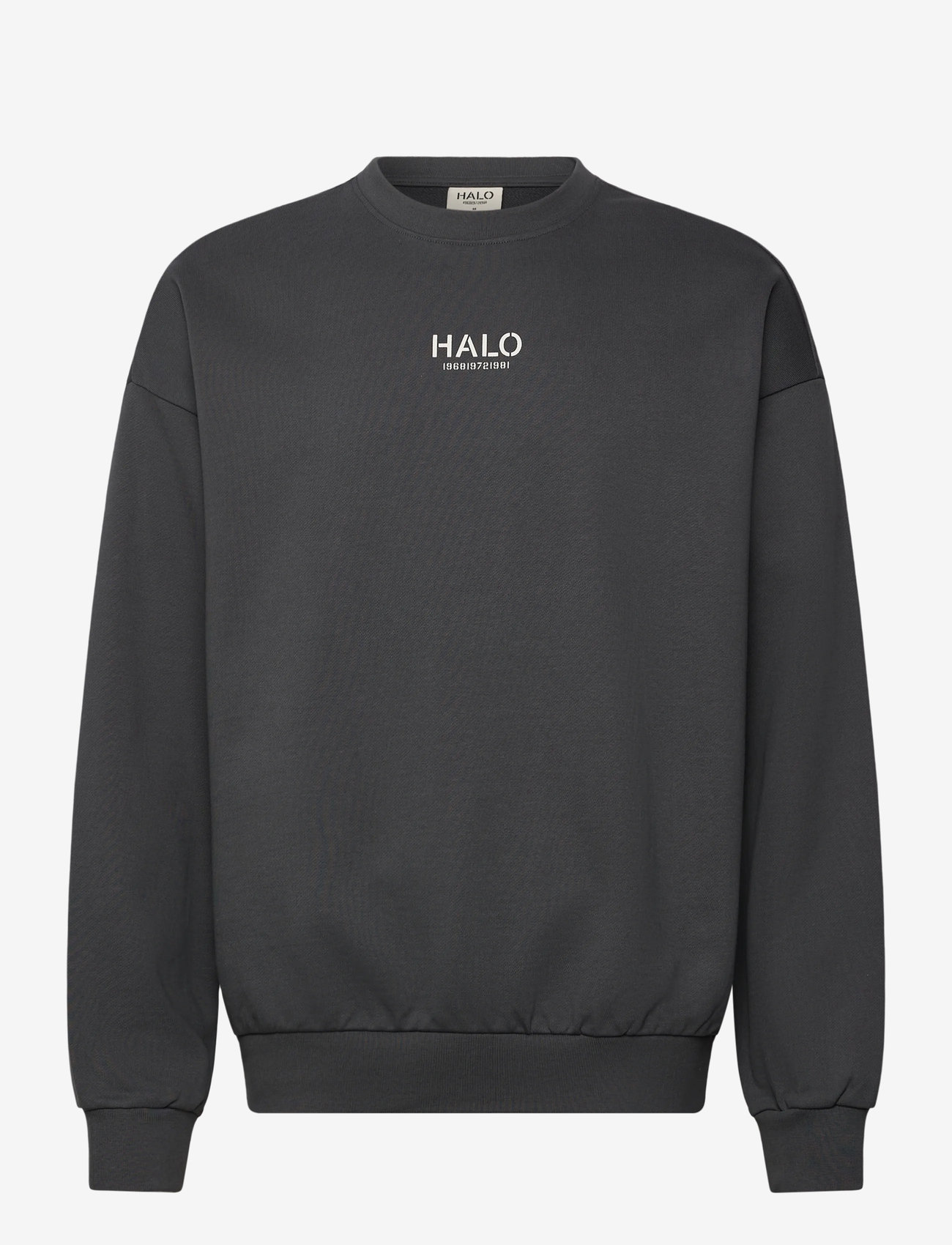 HALO - HALO GRAPHIC BOXY CREW - oberteile - asphalt - 0