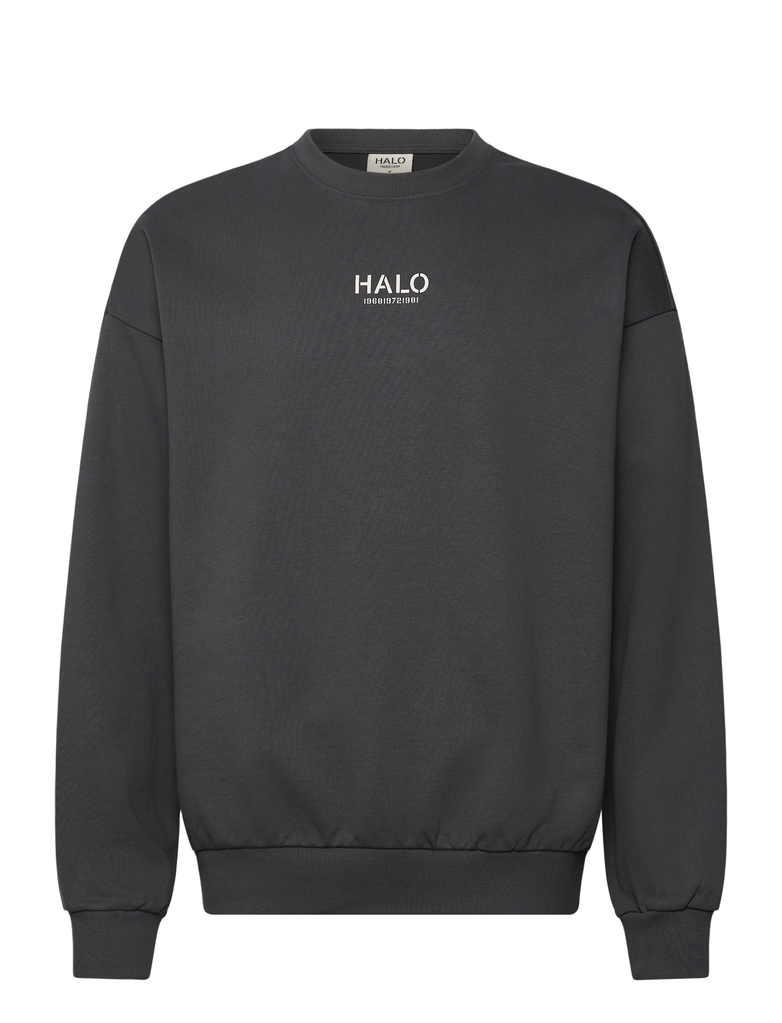 HALO HALO GRAPHIC BOXY CREW - HALO - ASPHALT / grey