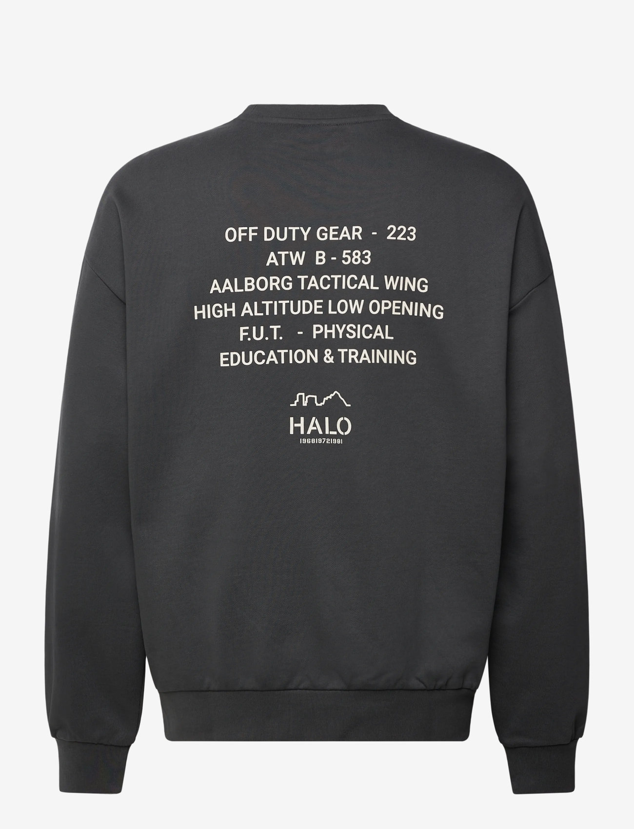 HALO - HALO GRAPHIC BOXY CREW - oberteile - asphalt - 1