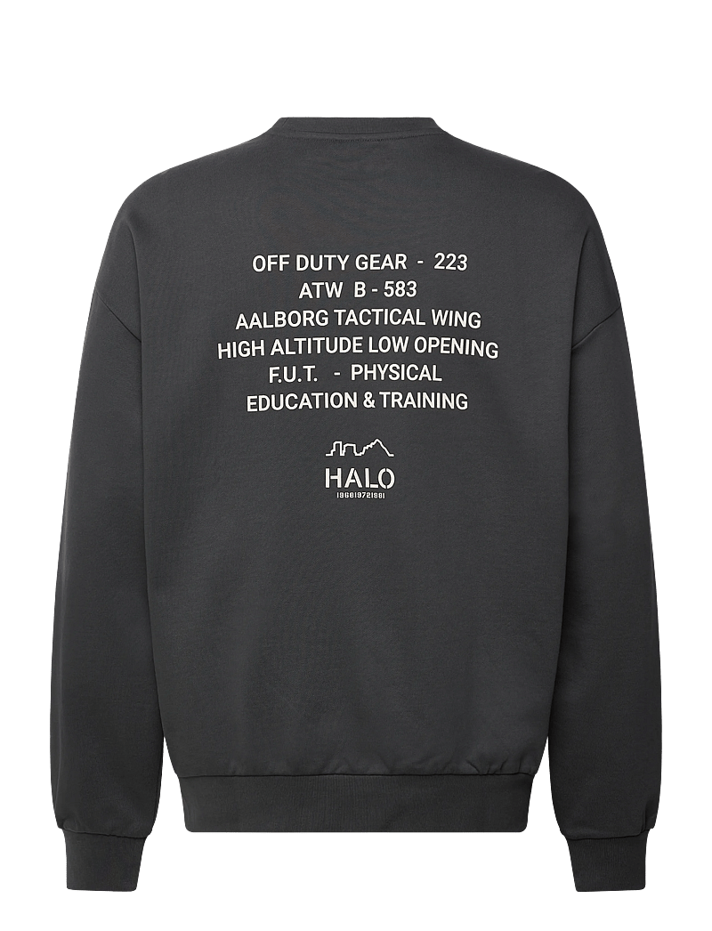 HALO - HALO GRAPHIC BOXY CREW - oberteile - asphalt - 1