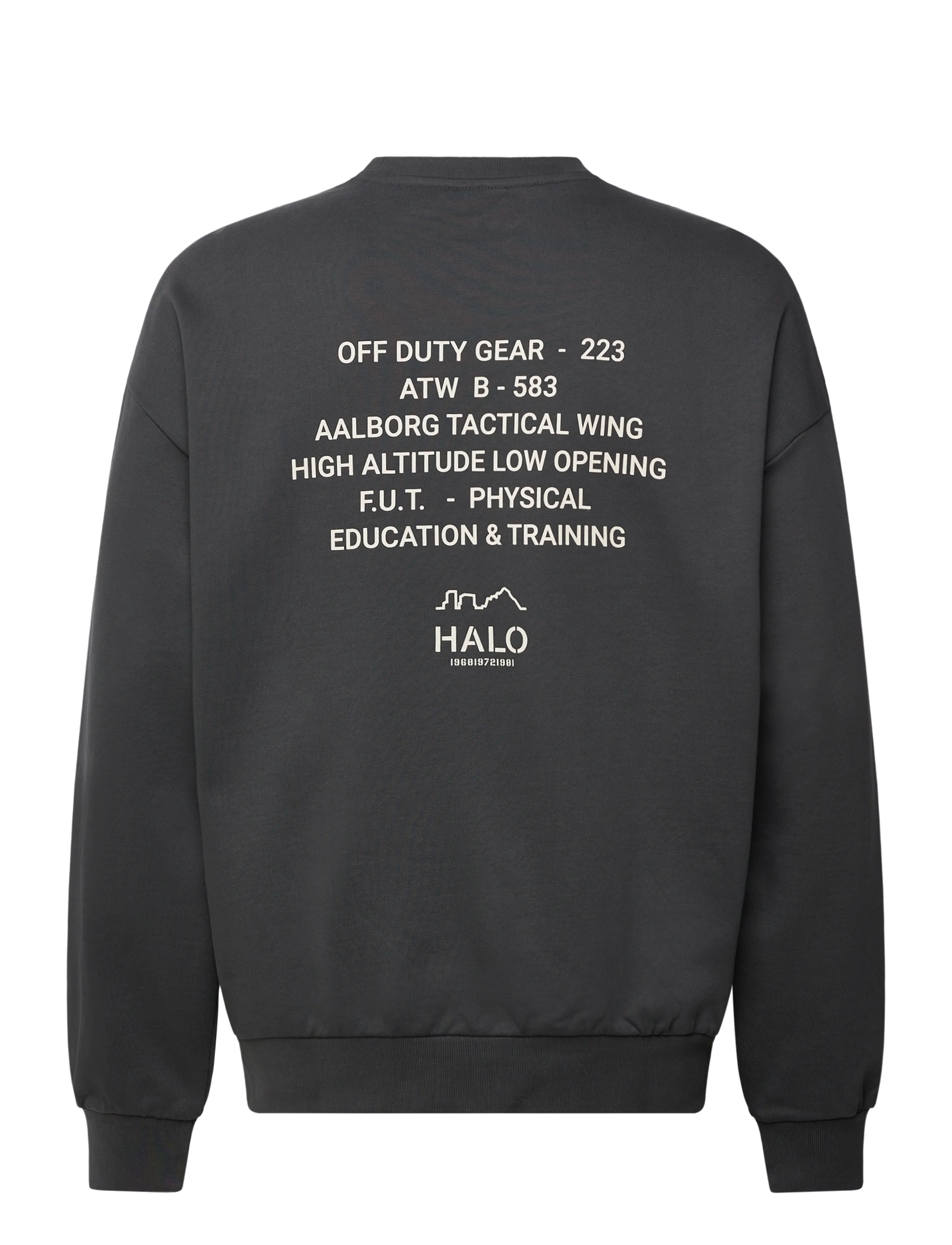 HALO - HALO GRAPHIC BOXY CREW - oberteile - asphalt - 1