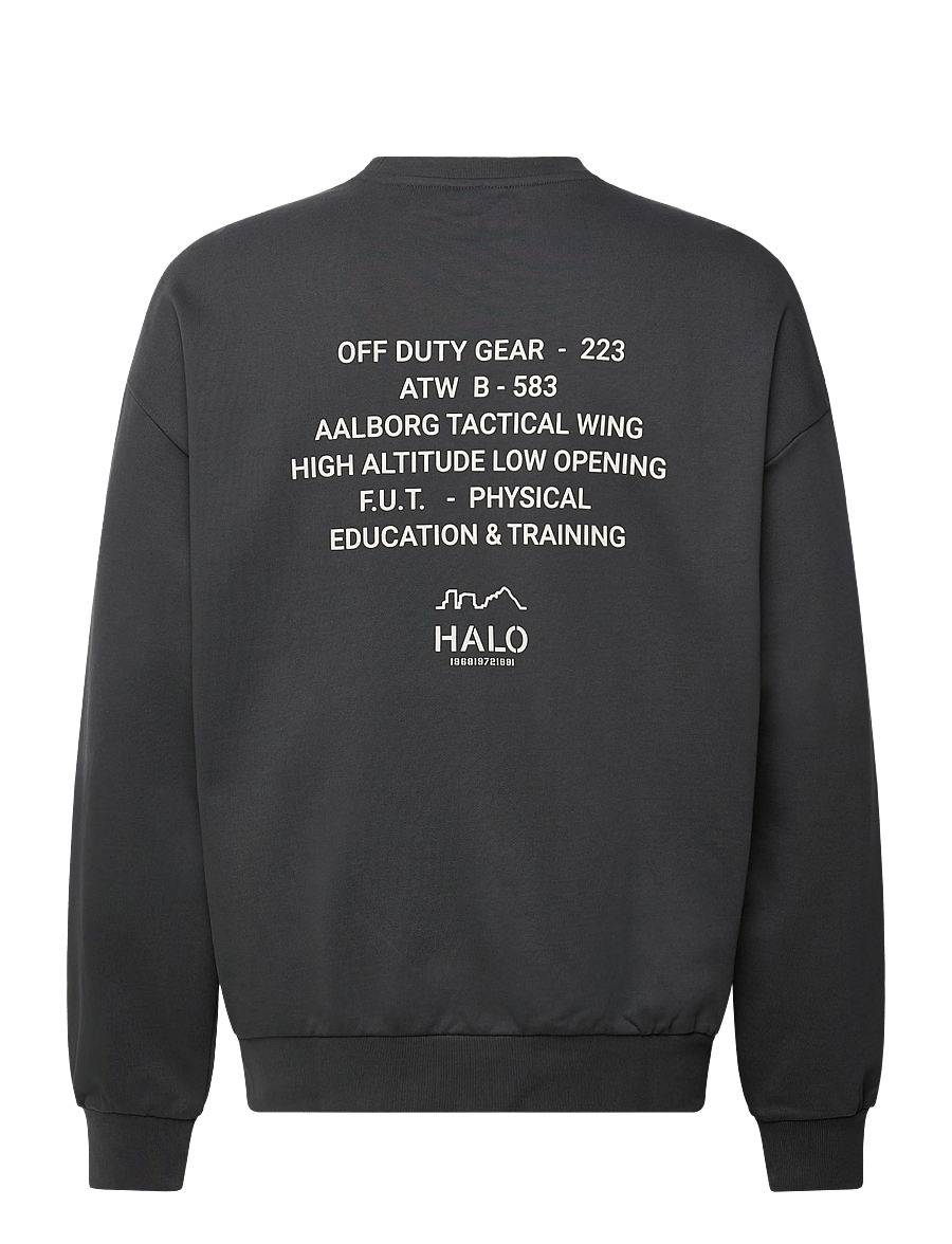 HALO - HALO GRAPHIC BOXY CREW - oberteile - asphalt - 1