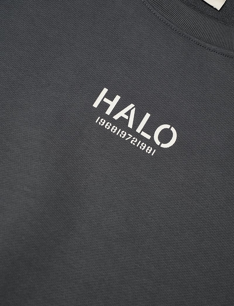 HALO - HALO GRAPHIC BOXY CREW - oberteile - asphalt - 2