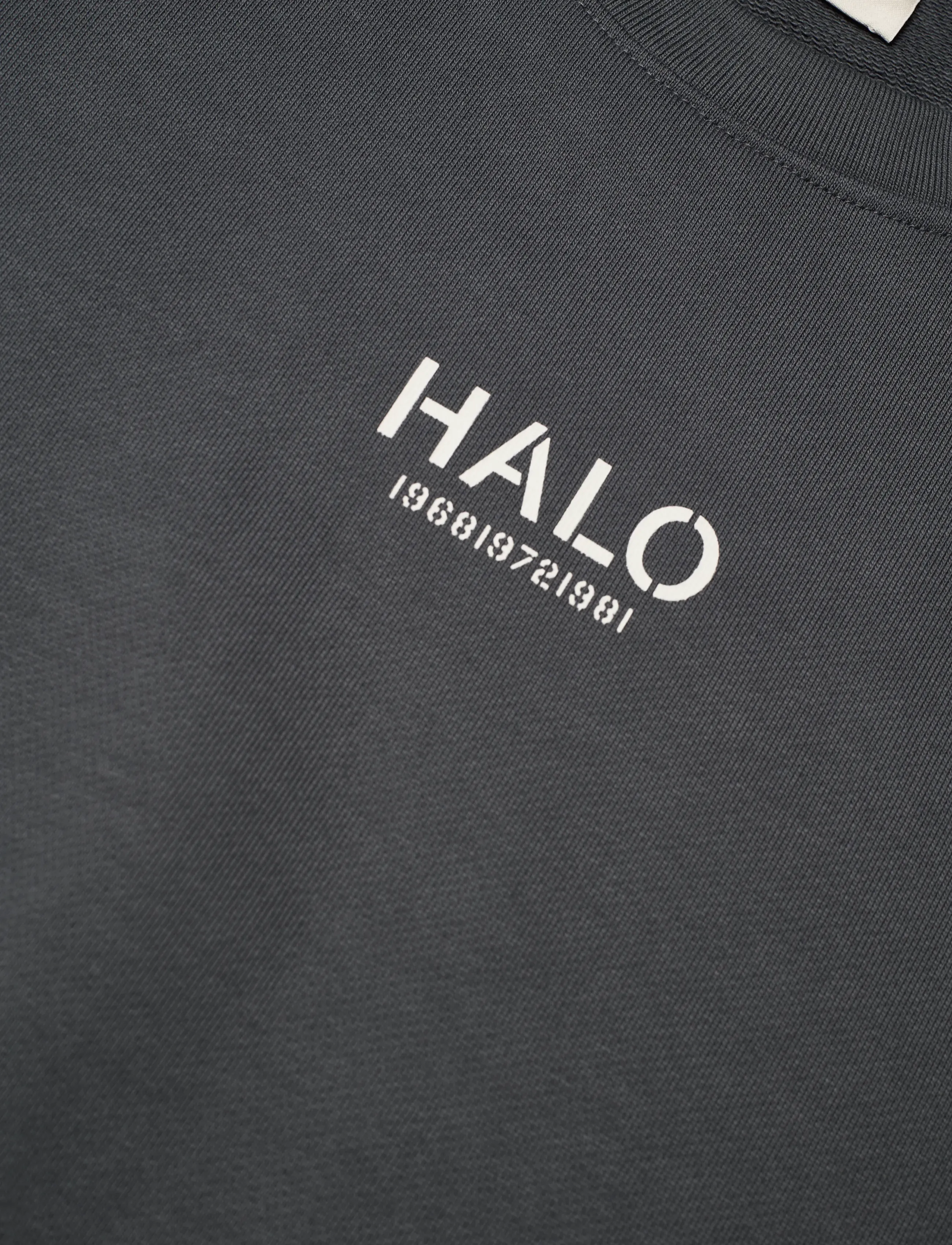 HALO - HALO GRAPHIC BOXY CREW - oberteile - asphalt - 2