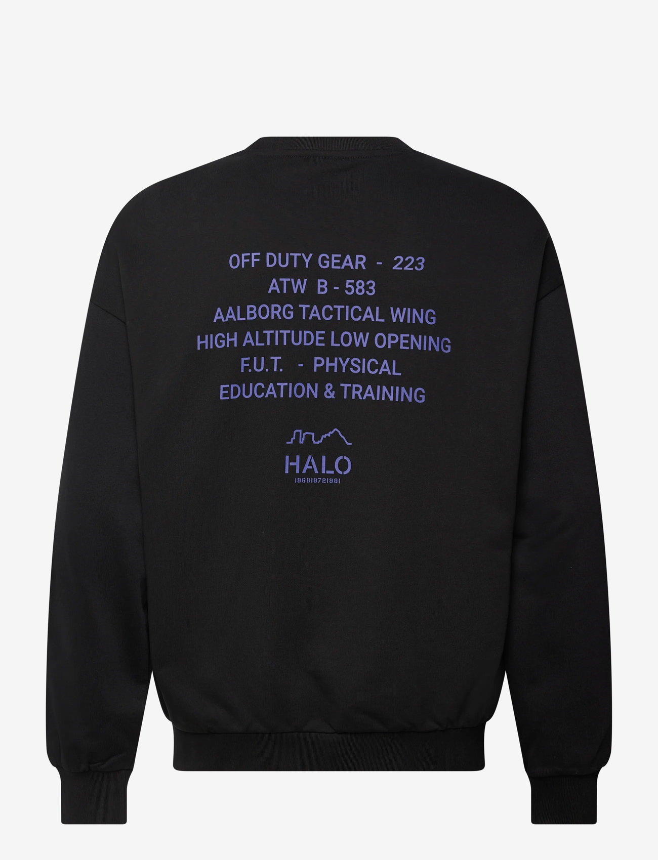 HALO - HALO GRAPHIC BOXY CREW - overdele - black/black - 1