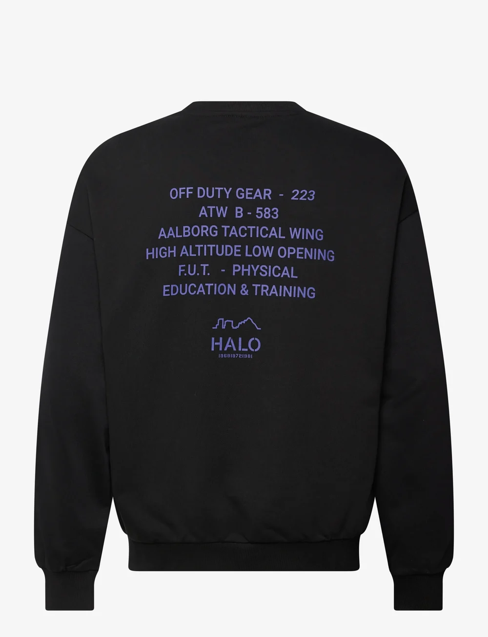 HALO - HALO GRAPHIC BOXY CREW - oberteile - black/black - 1
