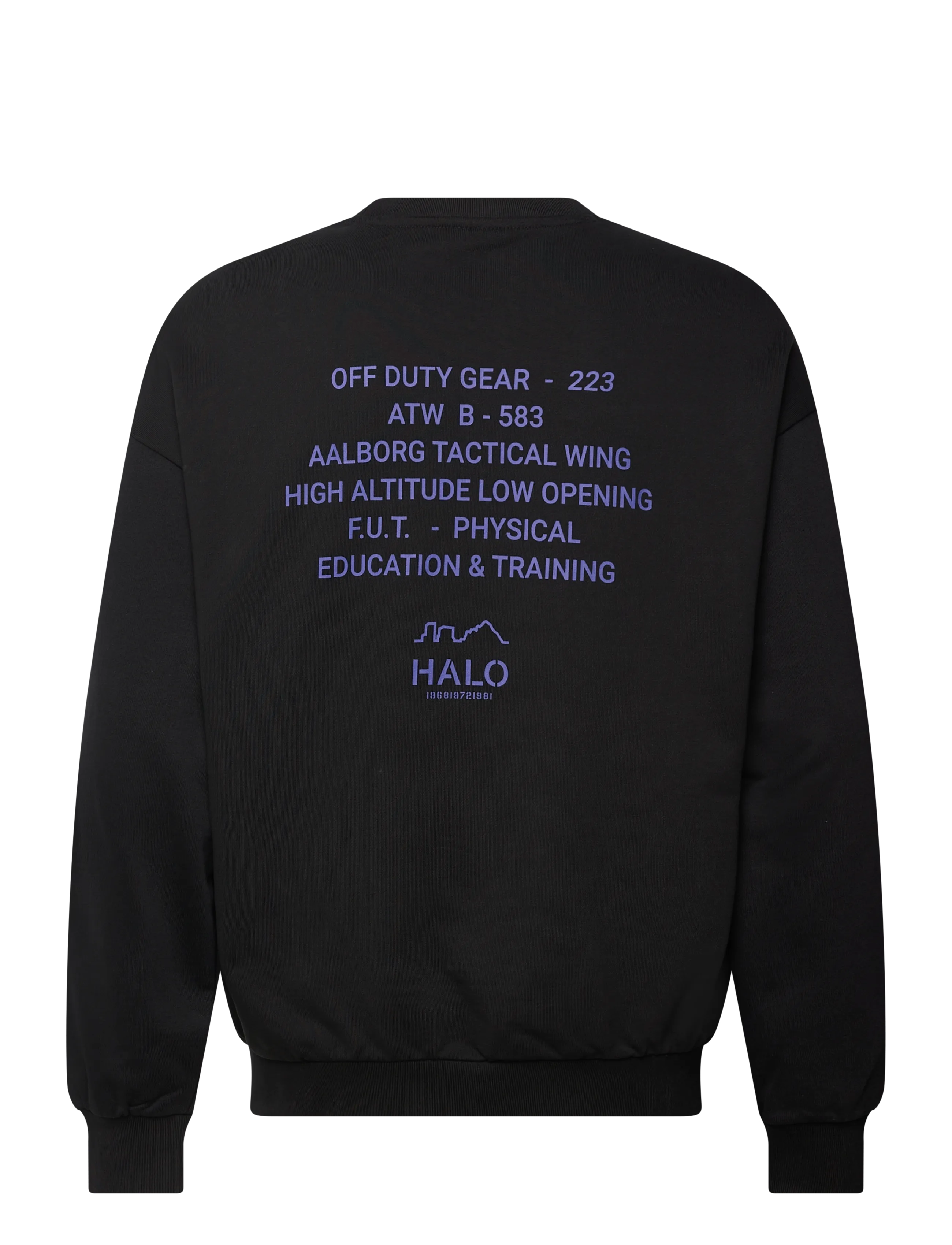 HALO - HALO GRAPHIC BOXY CREW - tops - black/black - 1