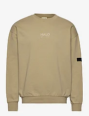 HALO - HALO COTTON CREW - megztiniai ir džemperiai - gray green - 0