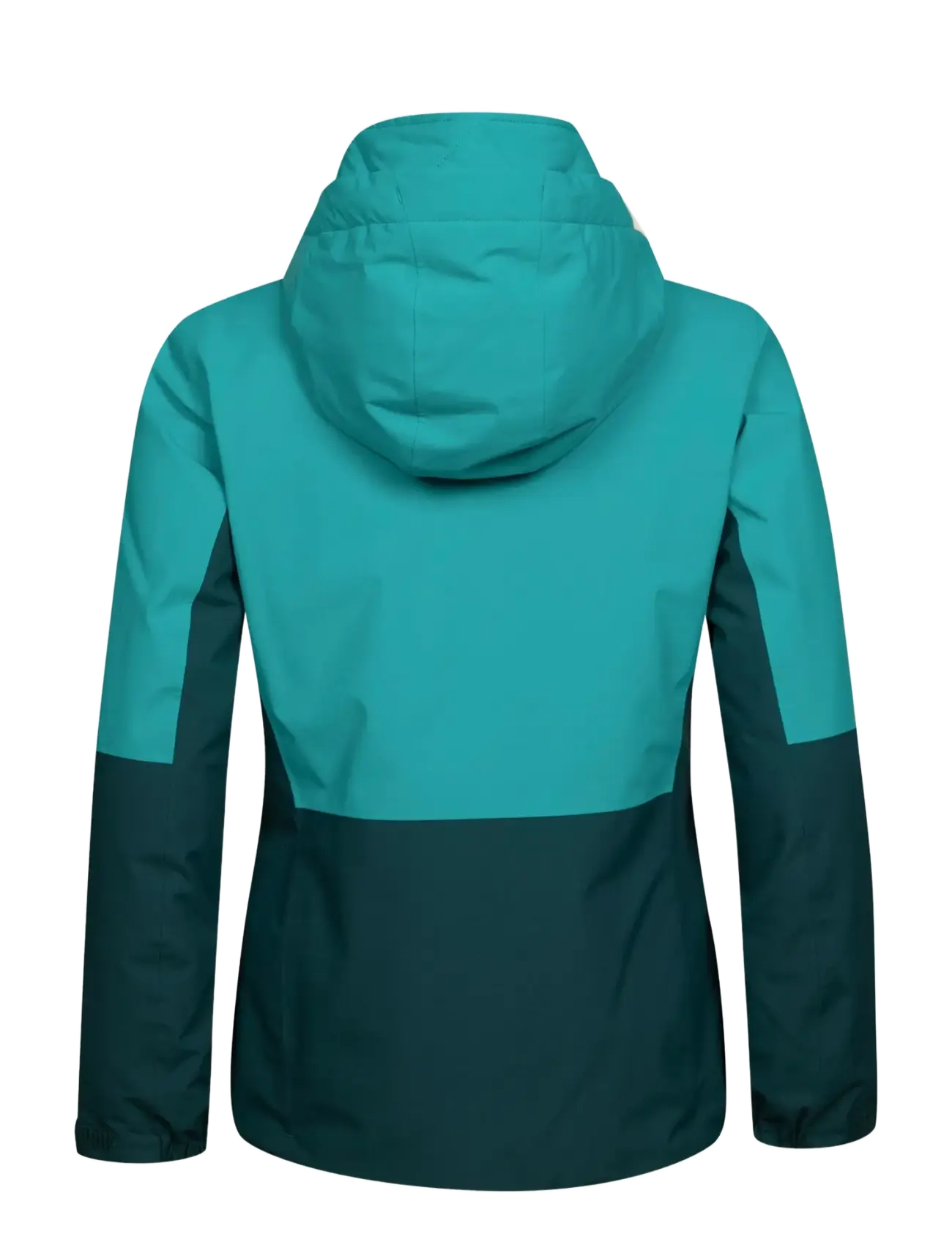 Halti - Melvik W Dx ski jacket - ski-kleidung - i55 lapis green - 1
